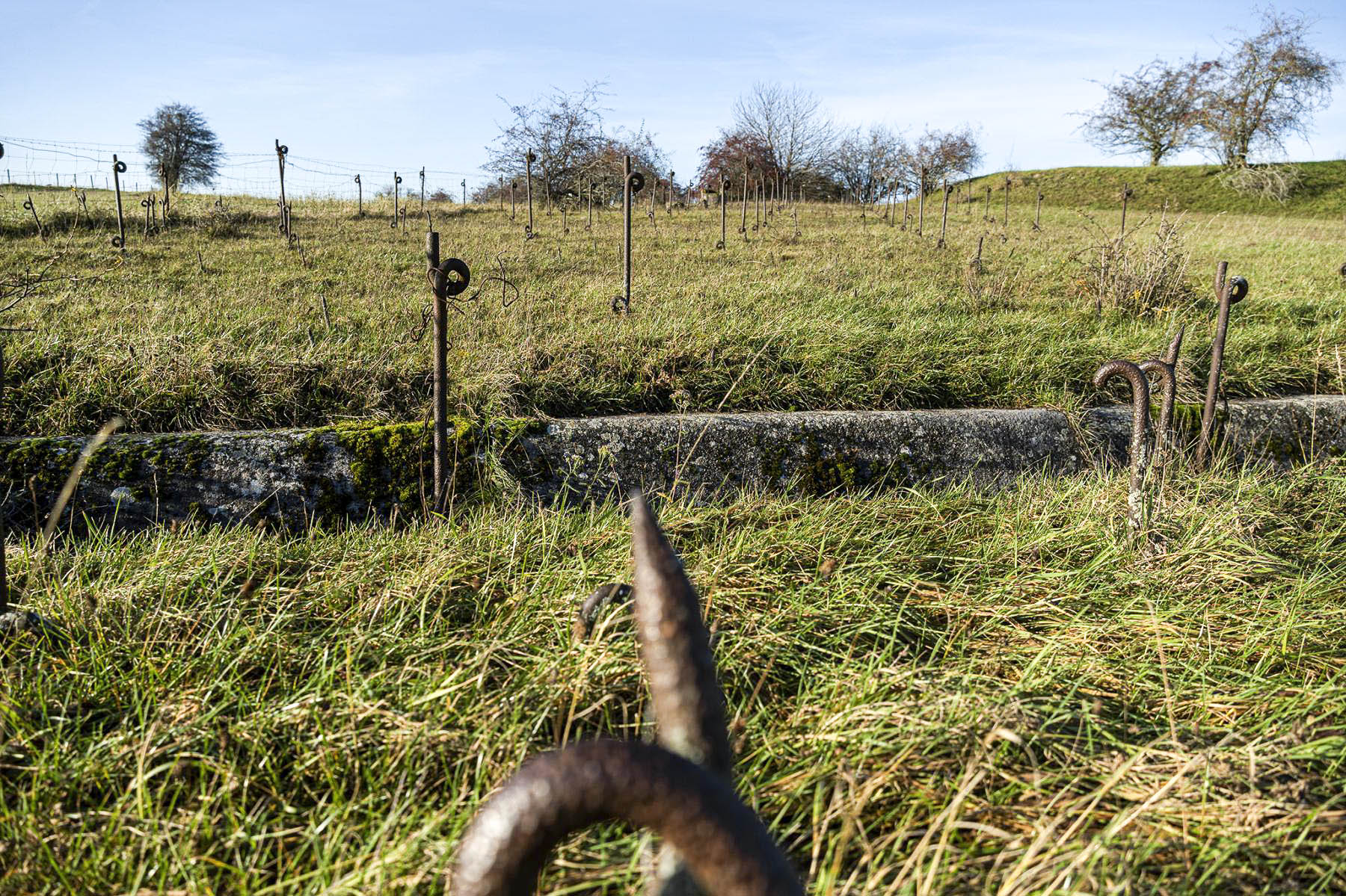 Ligne Maginot - HAUT POIRIER - (Ouvrage d'infanterie) - Réseau de barbelés

 - David Palmer