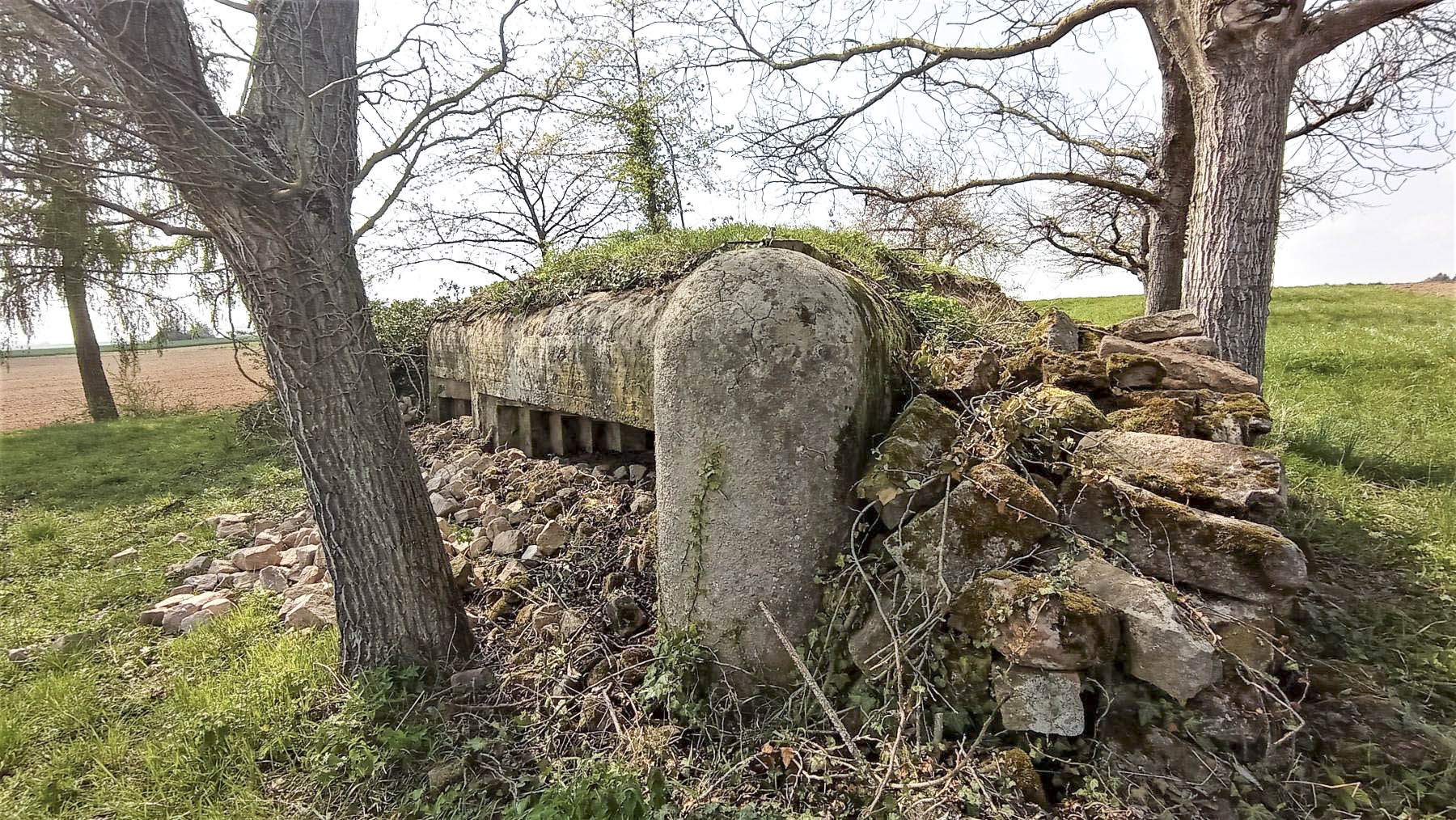 Ligne Maginot - KIRCHGRUBE SUD - (Blockhaus pour canon) - L'orillon - Baptiste GAUDIN