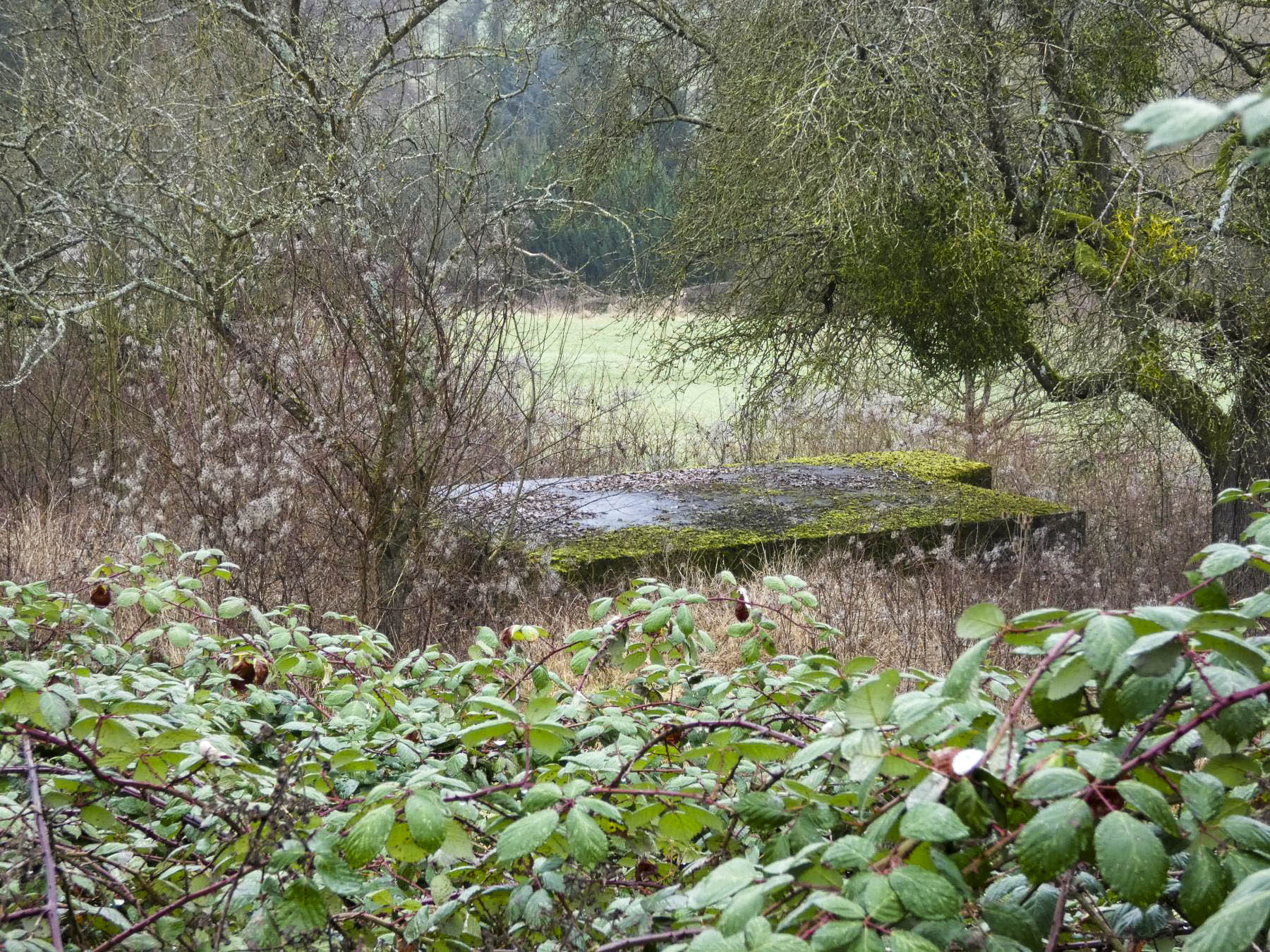 Ligne Maginot - BB316 - FERANGE SUD - (Blockhaus pour arme infanterie) - Le blockhaus vu depuis le centre équestre. - STENGER Mathieu