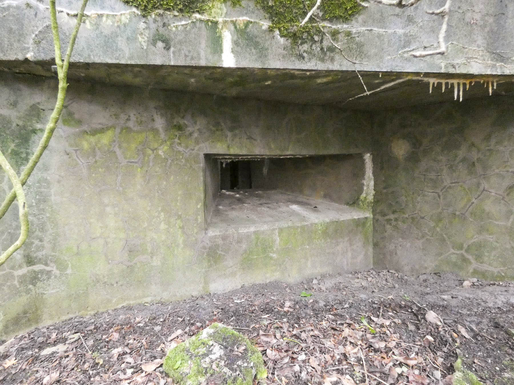 Ligne Maginot - BB8 - KOBENBERG - (Blockhaus pour canon) - Le créneau mitrailleuse vers le SO. - STENGER Mathieu