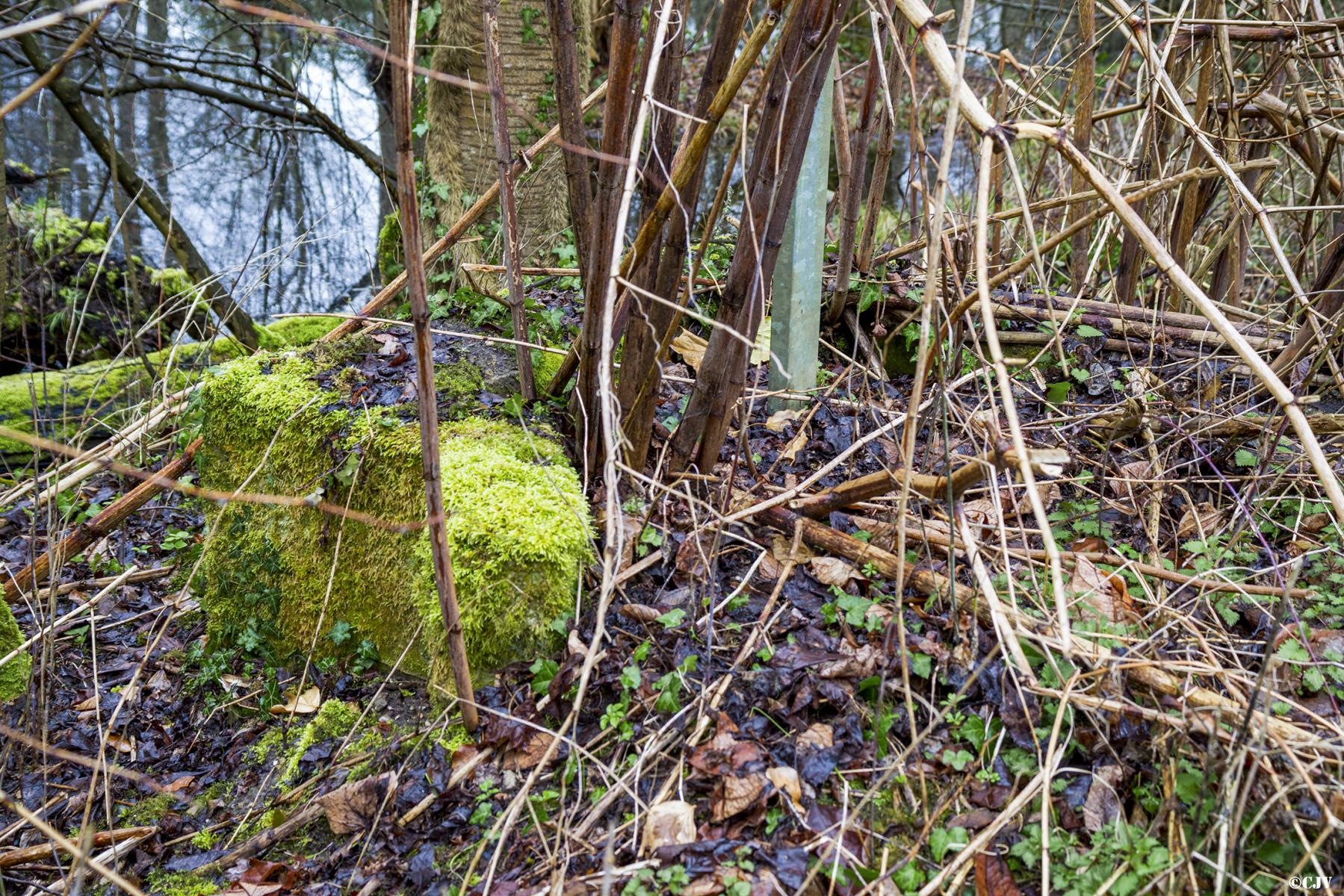 Ligne Maginot - MOULIN DE SCHWABWILLER 3 - (Cuve pour arme d'infanterie) -  - Lia VERMEULEN