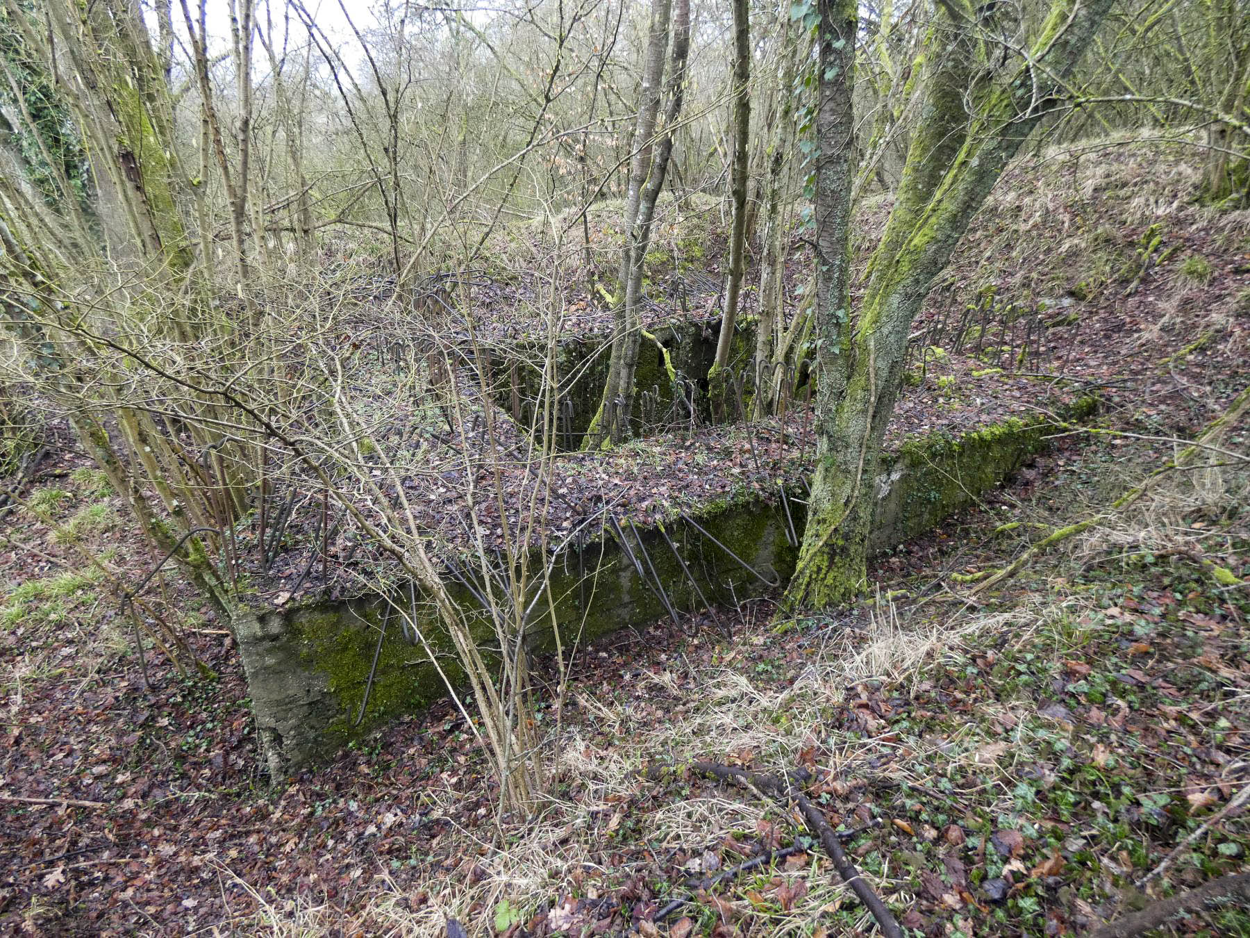 Ligne Maginot - BB320 - (Blockhaus pour canon) - Le blockhaus STG type 2 inachevé. - STENGER Mathieu