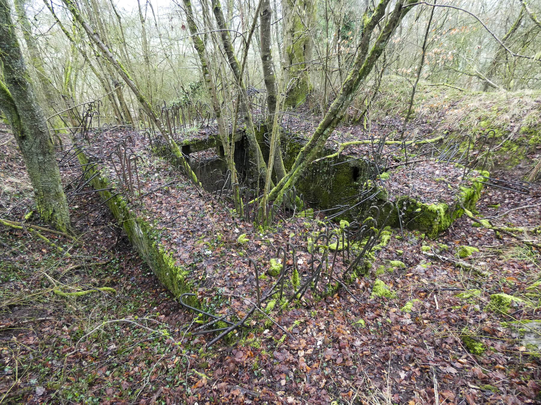Ligne Maginot - BB320 - (Blockhaus pour canon) - La façade arrière avec l'entrée du canon. - STENGER Mathieu
