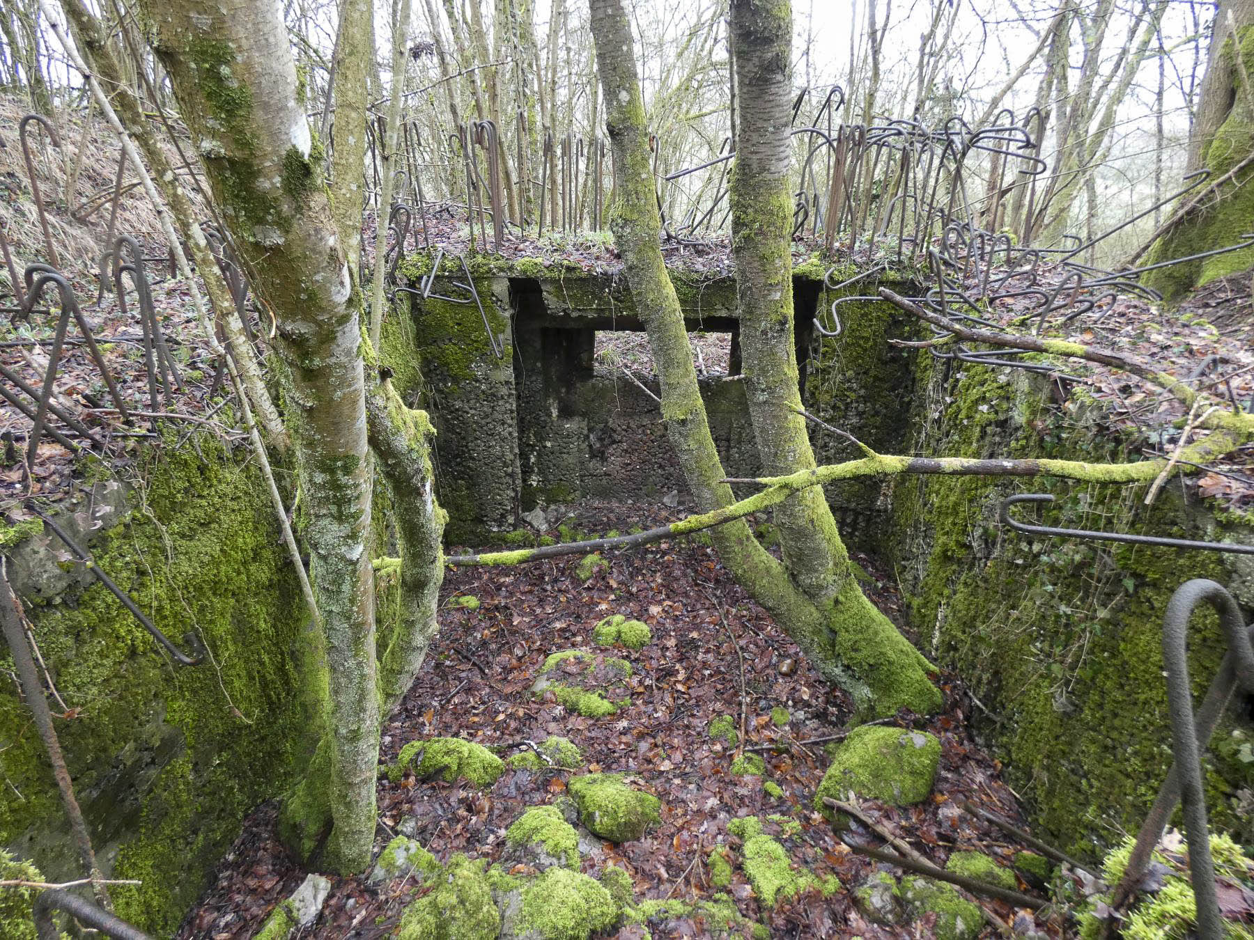 Ligne Maginot - BB320 - (Blockhaus pour canon) - La chambre de tir. - STENGER Mathieu