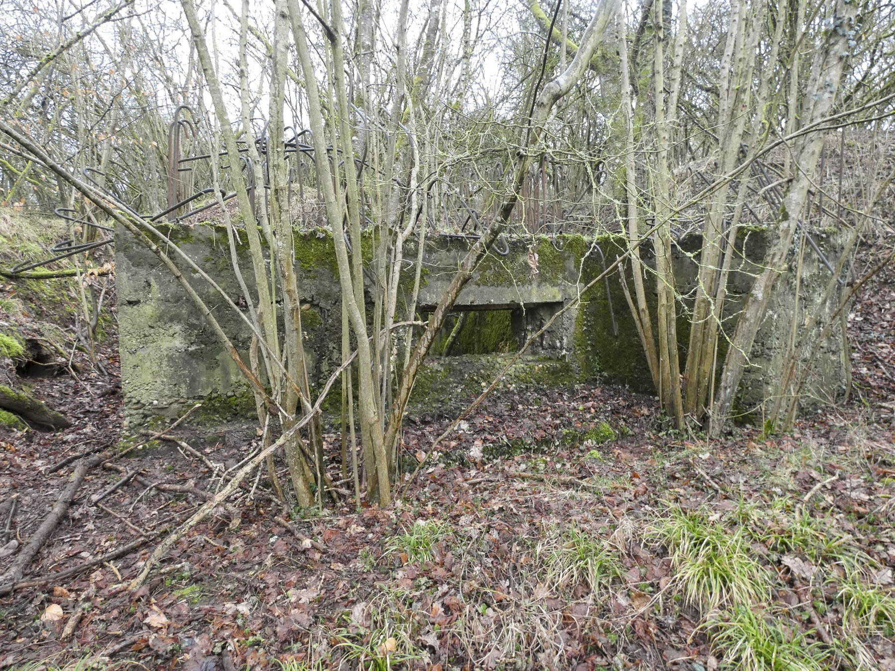 Ligne Maginot - BB320 - (Blockhaus pour canon) - La façade de tir. - STENGER Mathieu
