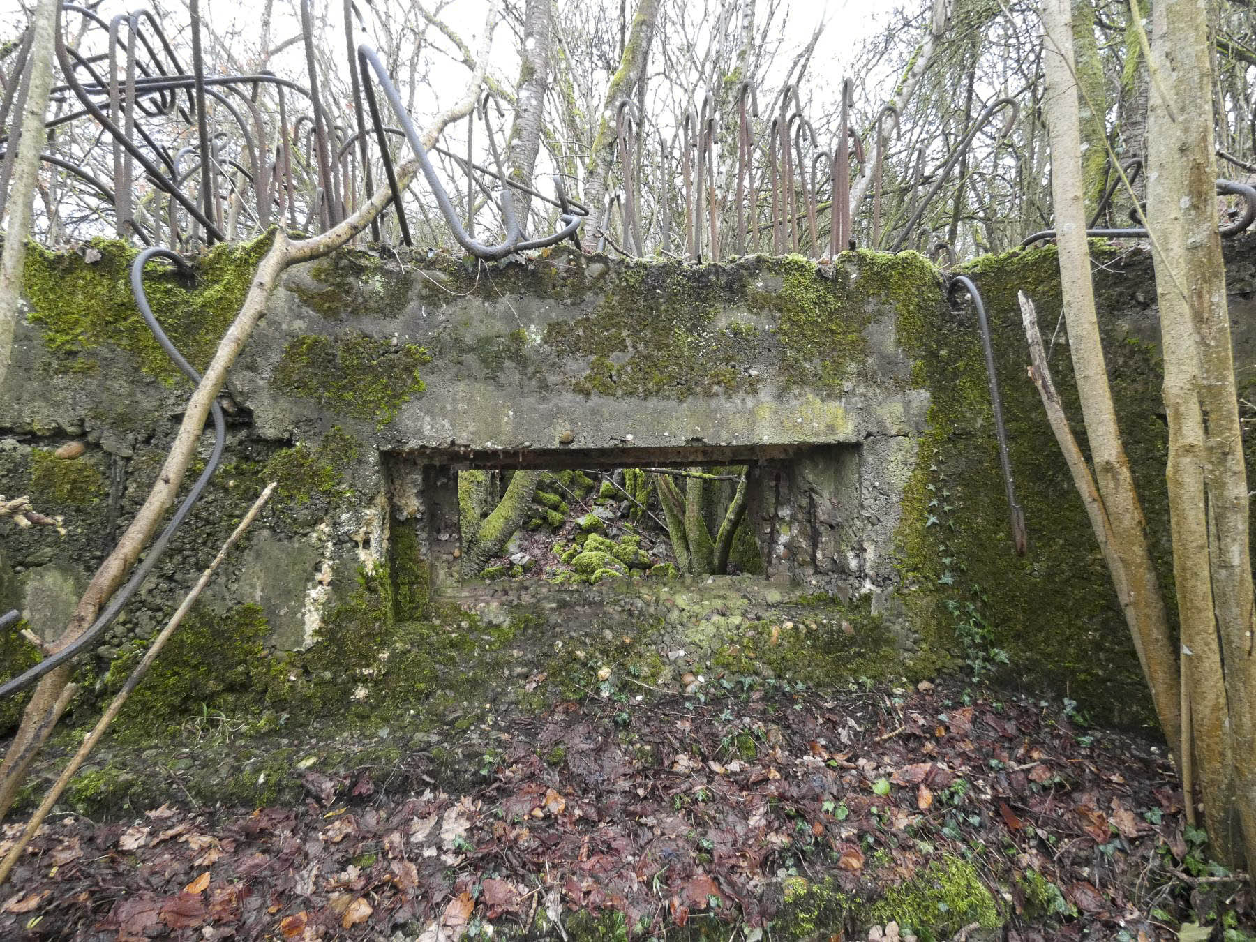 Ligne Maginot - BB320 - (Blockhaus pour canon) - La façade de tir. - STENGER Mathieu
