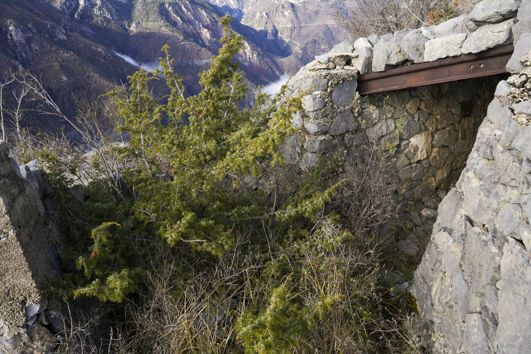 Ligne Maginot - RIMPLAS (RS) - (Ouvrage d'artillerie) - Bloc 2
Plateforme extérieur pour mortier - duomaxw