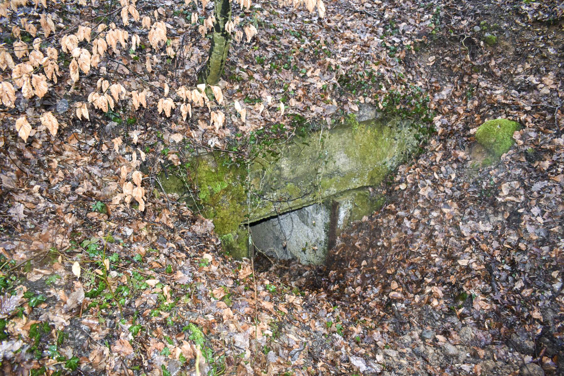 Ligne Maginot - STOCKETEN - (Abri) - Entrée sud - Daniel Froehly