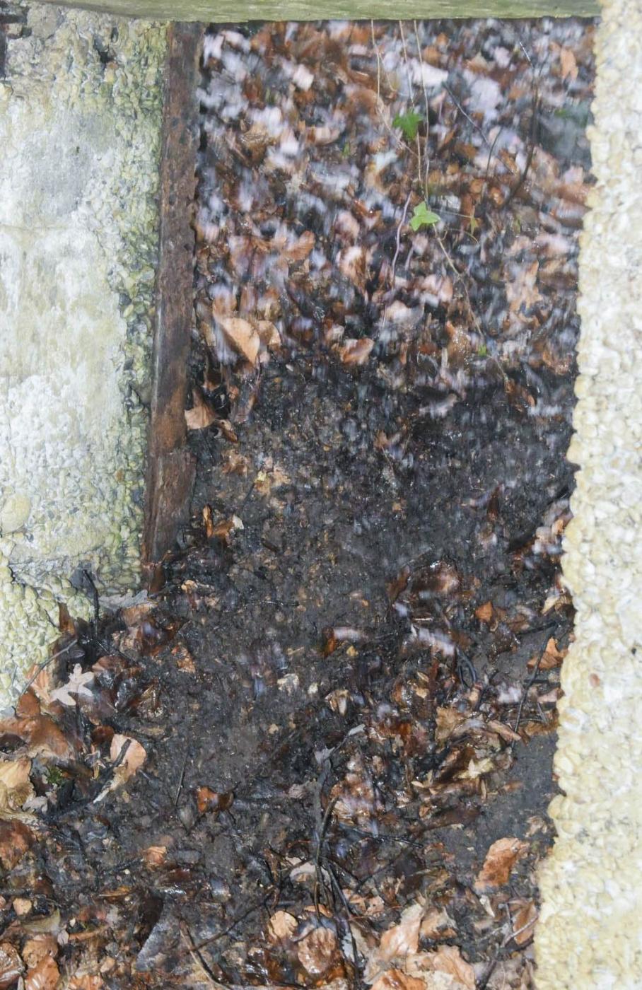 Ligne Maginot - STOCKETEN - (Abri) - Entrée sud vue de l'intérieur  - Daniel Froehly