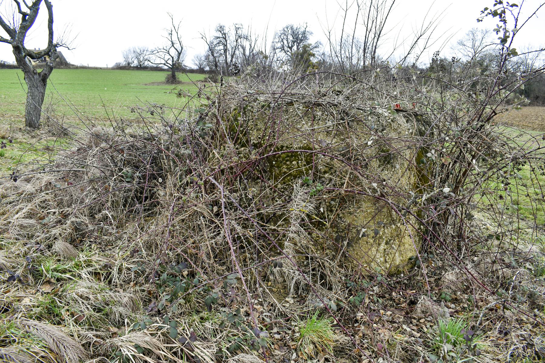 Ligne Maginot - T832 - FOLGENSBOURG SUD - (Cuve pour arme d'infanterie) - Le blockhaus retourné - Daniel Froehly
