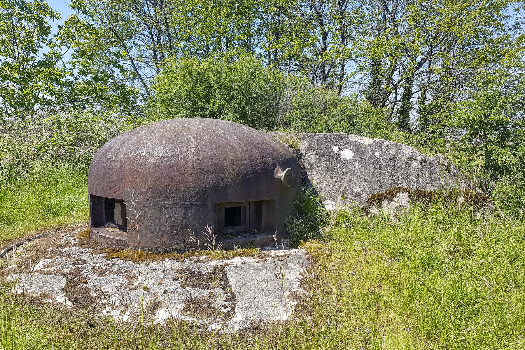 Ligne Maginot - BOIS DE HOFFEN OUEST - (Casemate d'infanterie - Simple) - Cloche GFM - David Palmer