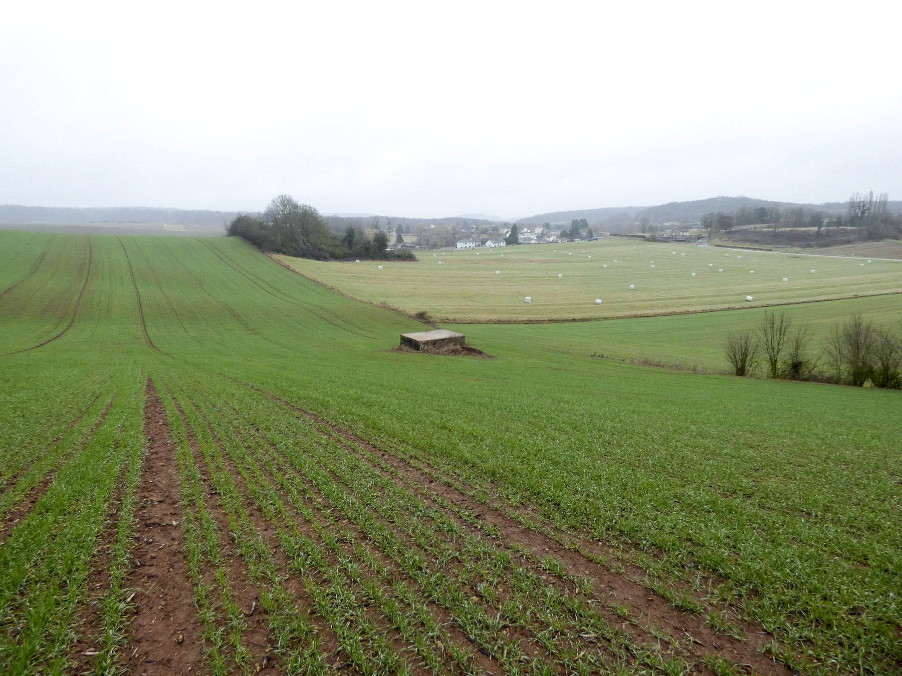 Ligne Maginot - BB318 - SANDBRUCKEN 1 - (Blockhaus pour arme infanterie) - Le blockhaus au milieu des champs. Le village de Férange est à l'arrière. - STENGER Mathieu