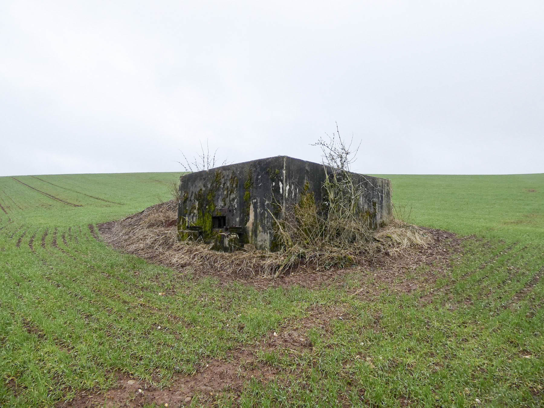Ligne Maginot - BB318 - SANDBRUCKEN 1 - (Blockhaus pour arme infanterie) - La façade de tir. - STENGER Mathieu