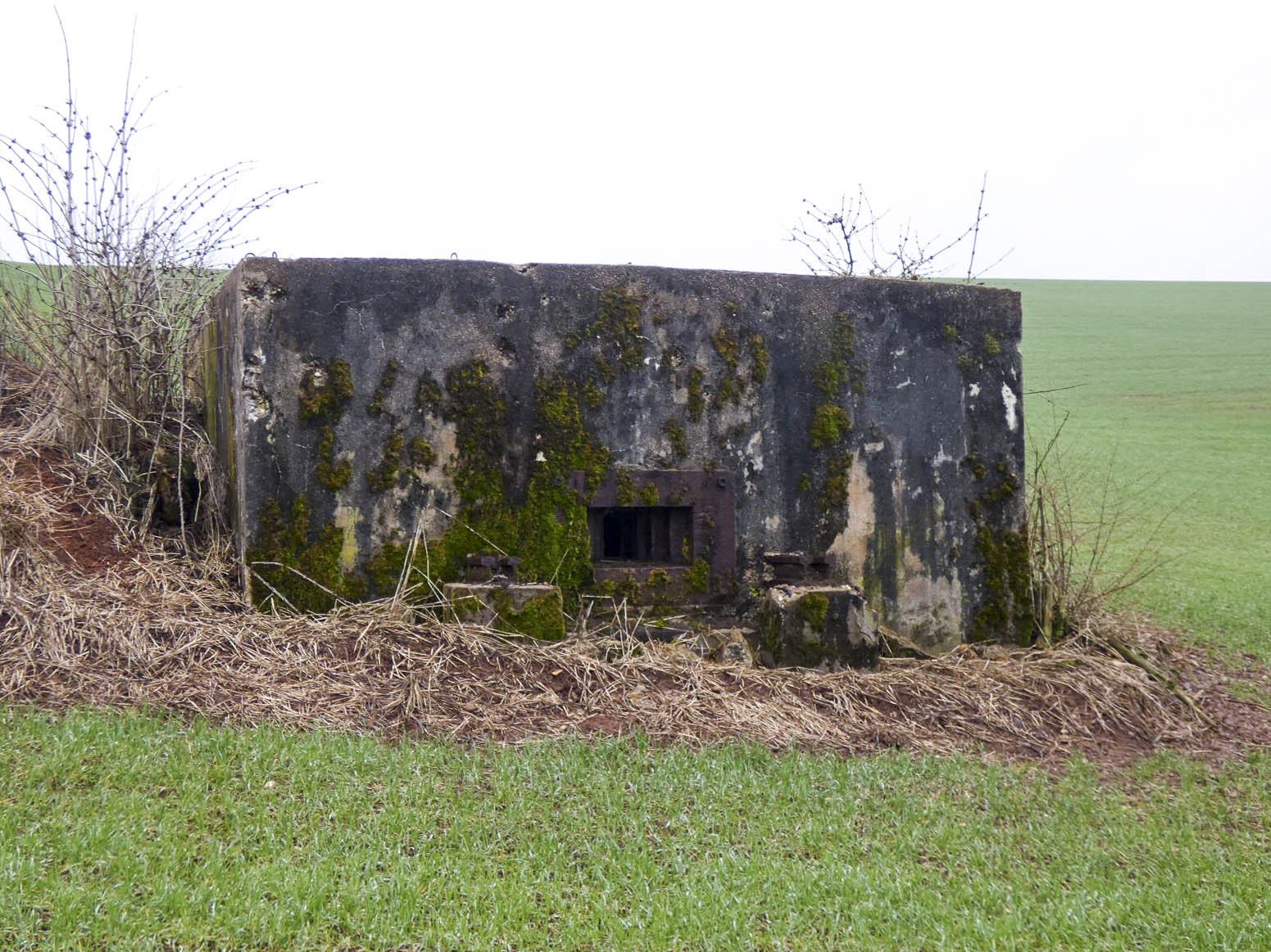 Ligne Maginot - BB318 - SANDBRUCKEN 1 - (Blockhaus pour arme infanterie) - La façade de tir. - STENGER Mathieu