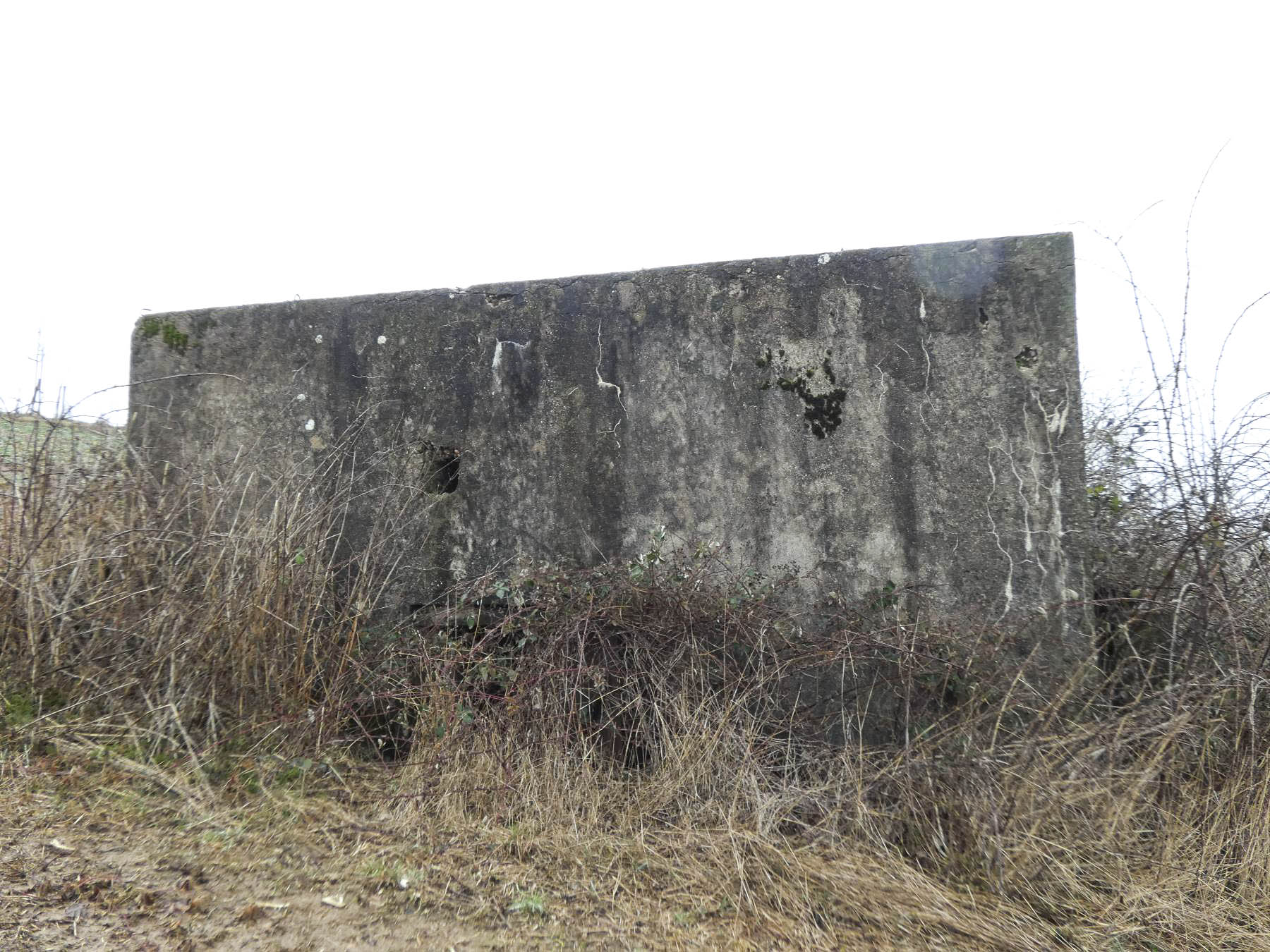 Ligne Maginot - BB319 - SANDBRUCKEN 2 - (Blockhaus pour arme infanterie) - La façade de l'entrée remblayée. - STENGER Mathieu