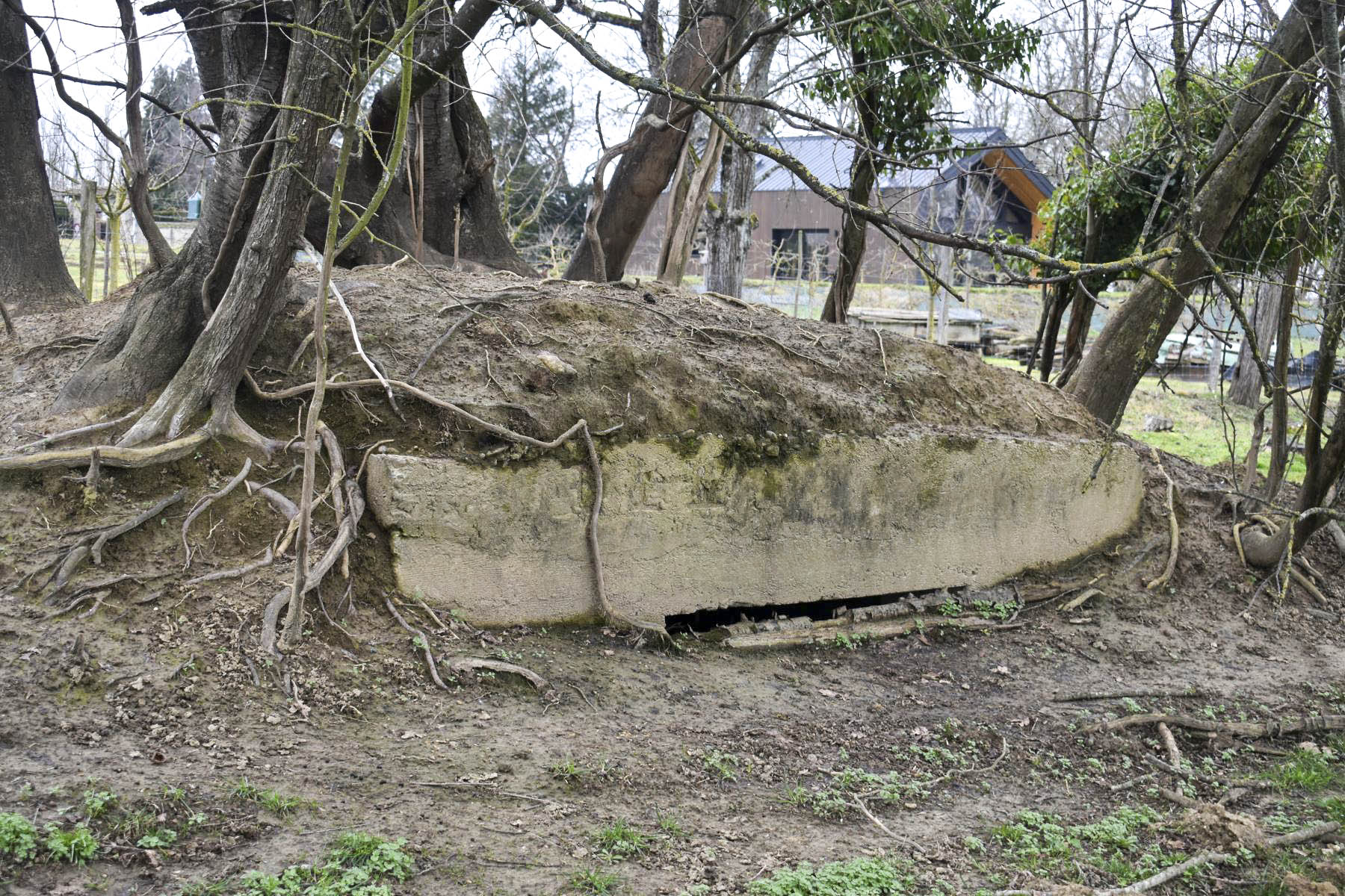 Ligne Maginot - SAINT APOLLINAIRE - (Observatoire d'infanterie) - Créneau d’observation - Daniel Froehly