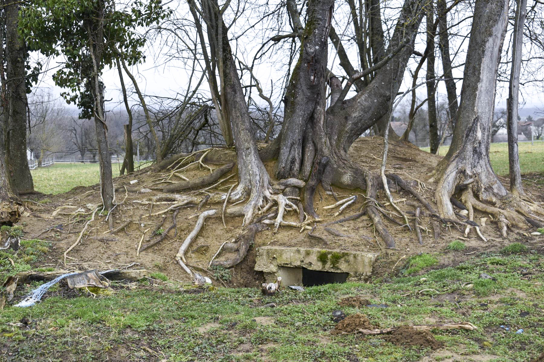 Ligne Maginot - SAINT APOLLINAIRE - (Observatoire d'infanterie) - Entrée  - Daniel Froehly