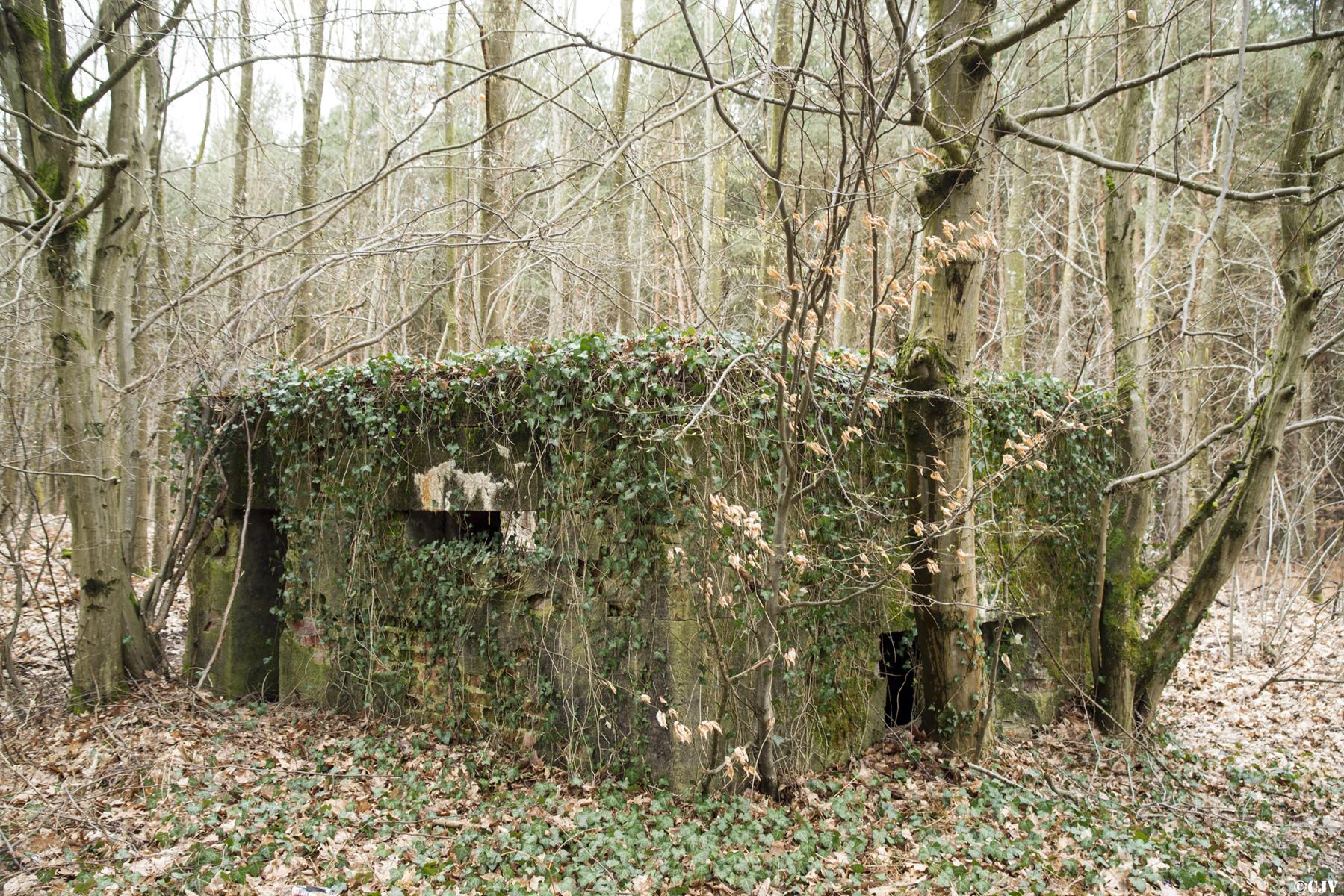 Ligne Maginot - HATTENER STANGER EST 1 - (Blockhaus pour canon) -  - Lia VERMEULEN