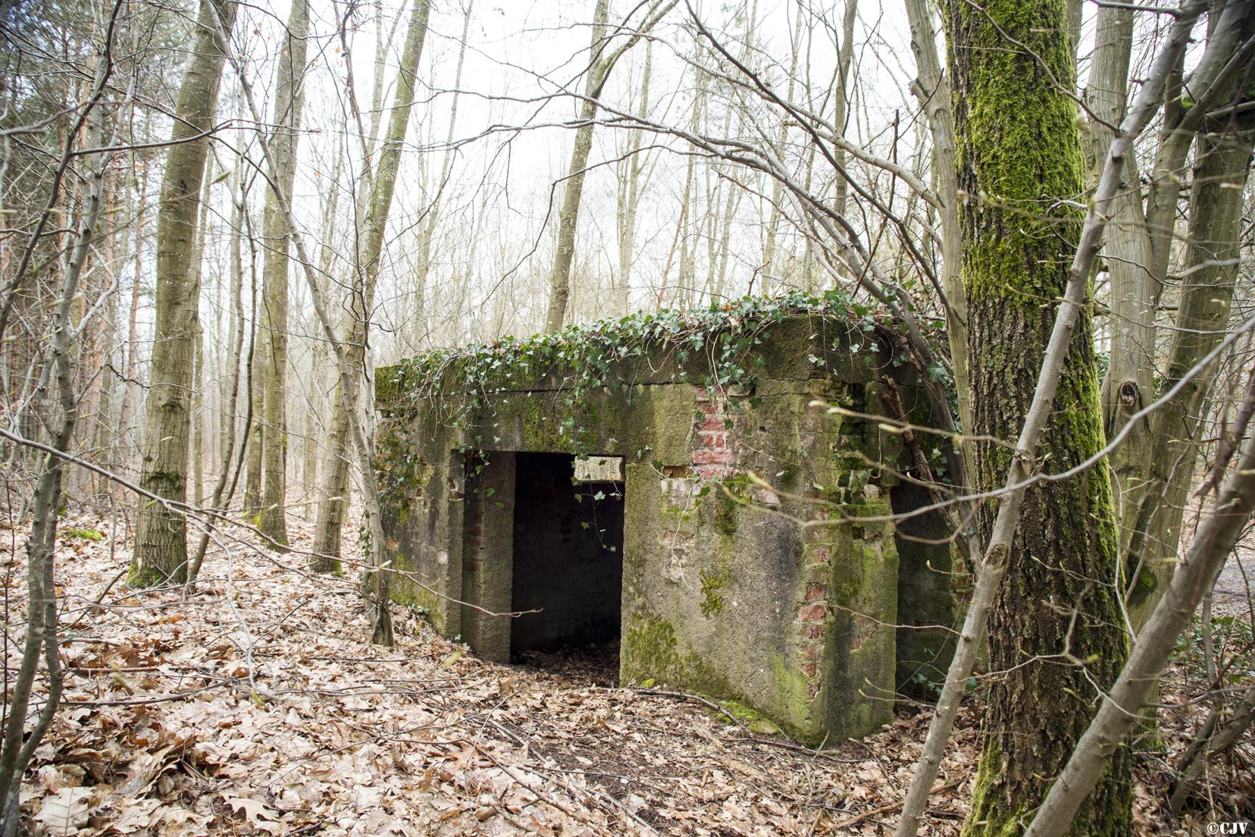Ligne Maginot - HATTENER STANGER EST 1 - (Blockhaus pour canon) -  - Lia VERMEULEN