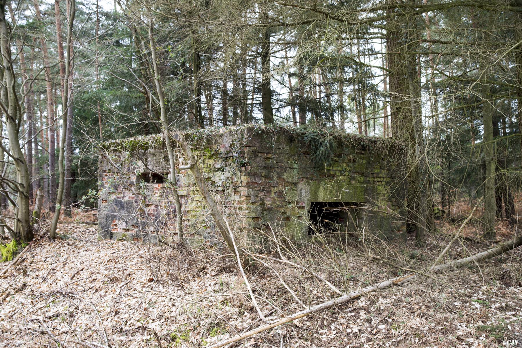Ligne Maginot - HATTENER STANGER EST 2 - (Blockhaus pour canon) - 