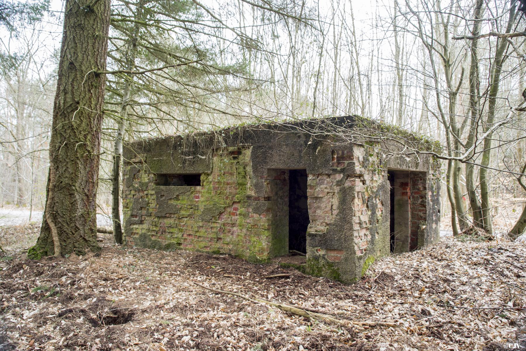 Ligne Maginot - HATTENER STANGER EST 2 - (Blockhaus pour canon) - 