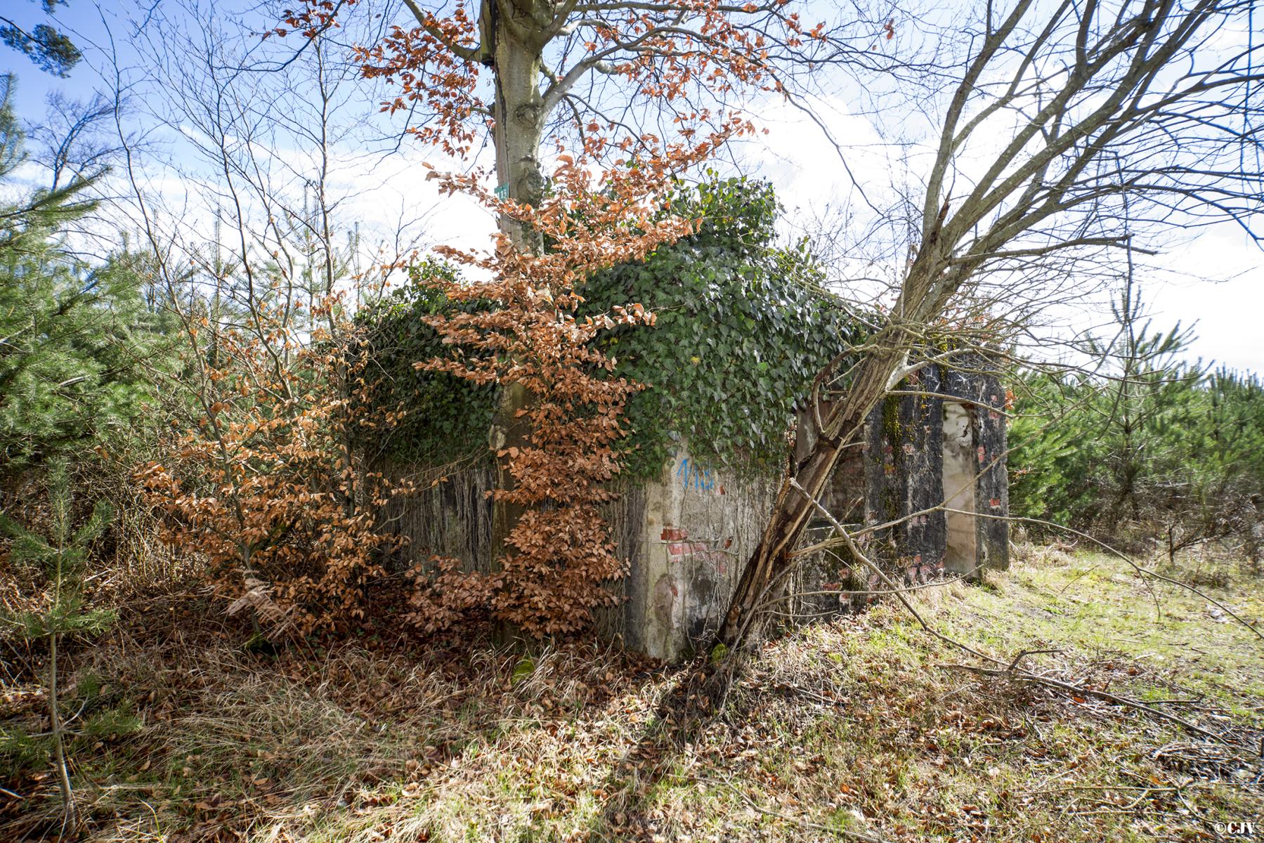 Ligne Maginot - HATTENER STANGER NORD 2 - (Blockhaus pour canon) -  - Lia VERMEULEN