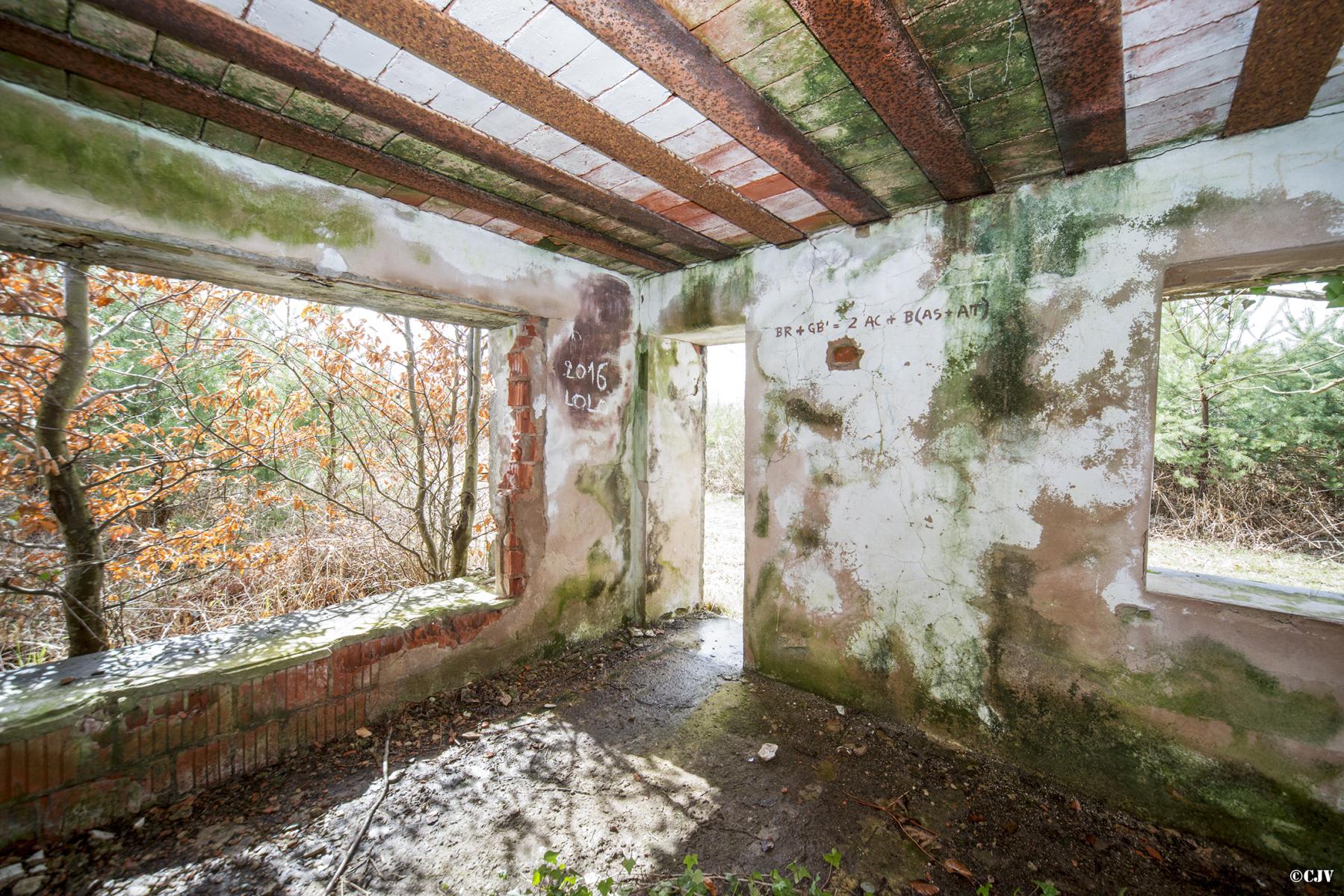 Ligne Maginot - HATTENER STANGER NORD 2 - (Blockhaus pour canon) - 