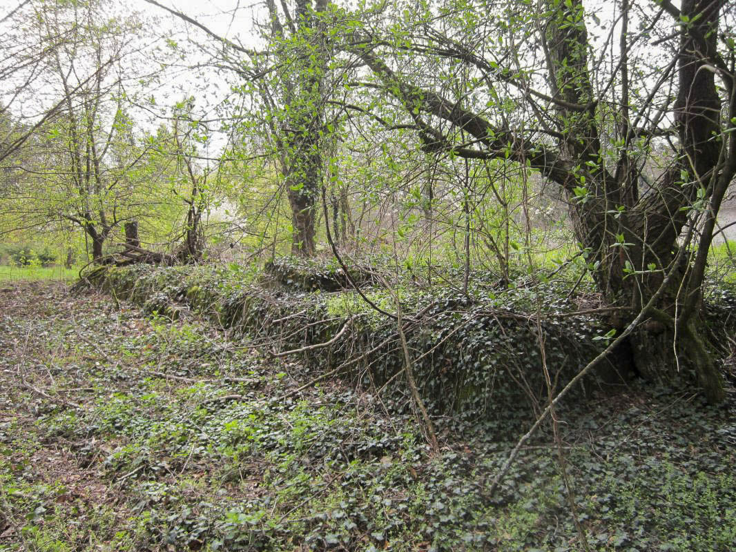 Ligne Maginot - KOENIGSBRUCK NORD - (Casernement) -  - gregfuchs