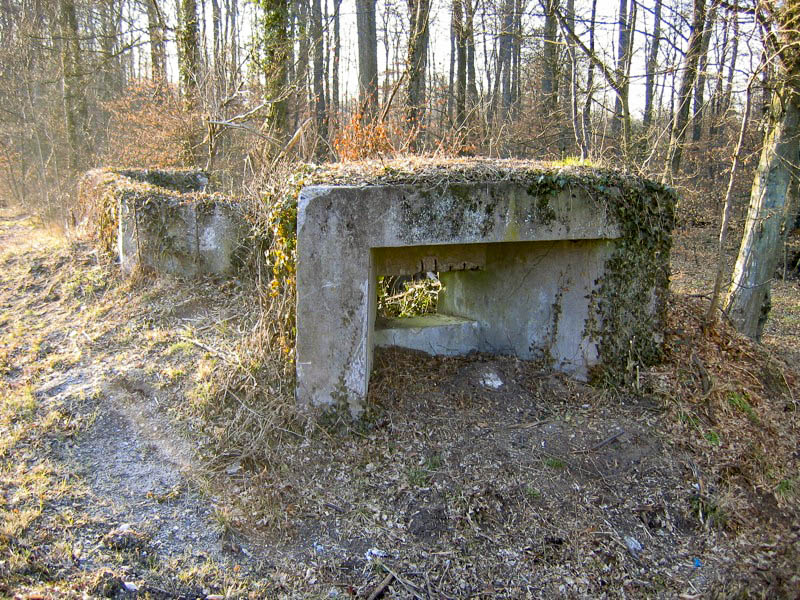 Ligne Maginot - MAISON FORESTIERE DE L'EBERBACH 1 - (Blockhaus pour canon) -  - Antoine SCHOEN