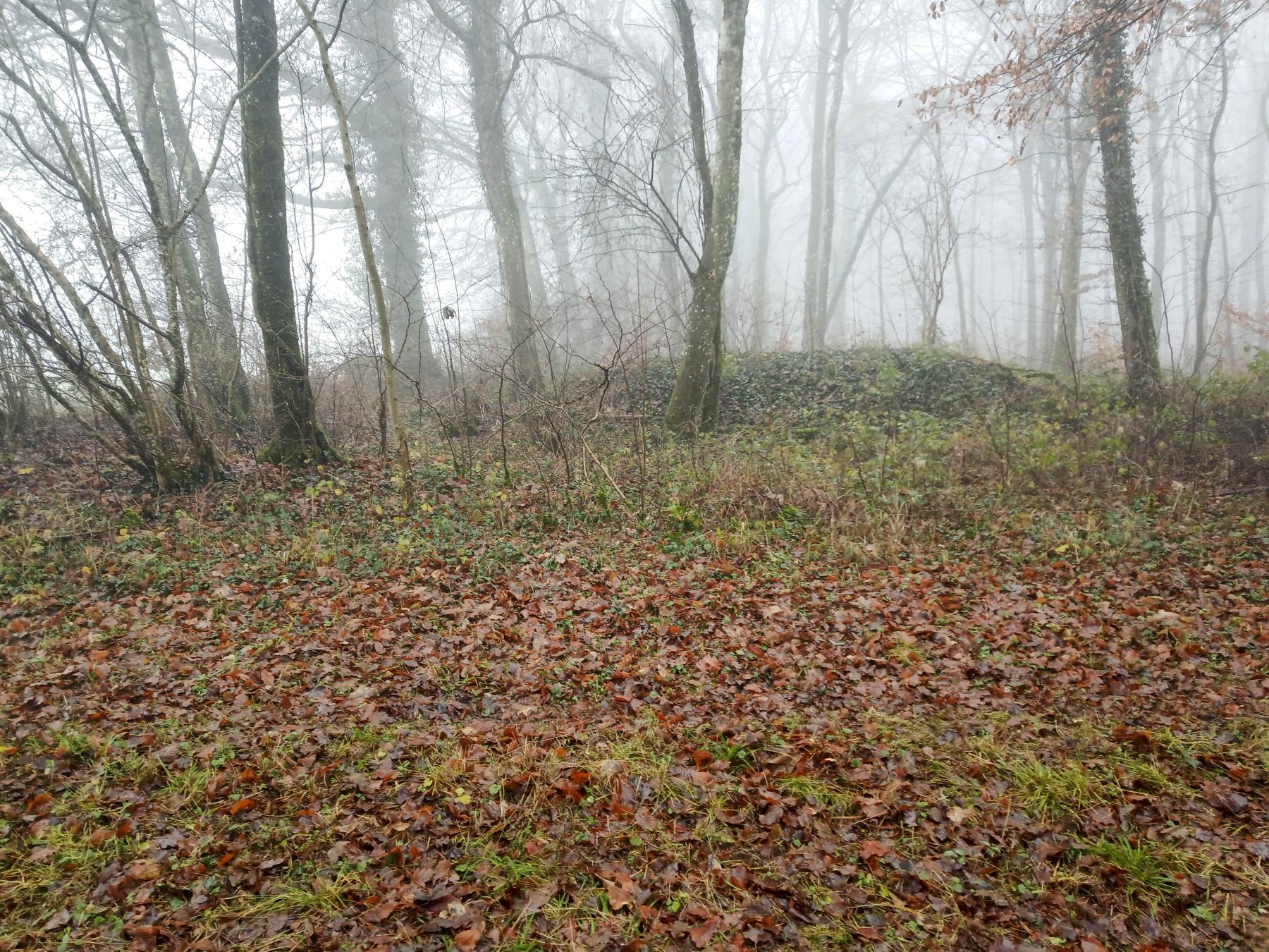 Ligne Maginot - DB229 - (Blockhaus pour arme infanterie) - Seul trace des travaux: les déblais - Marc Fossoul