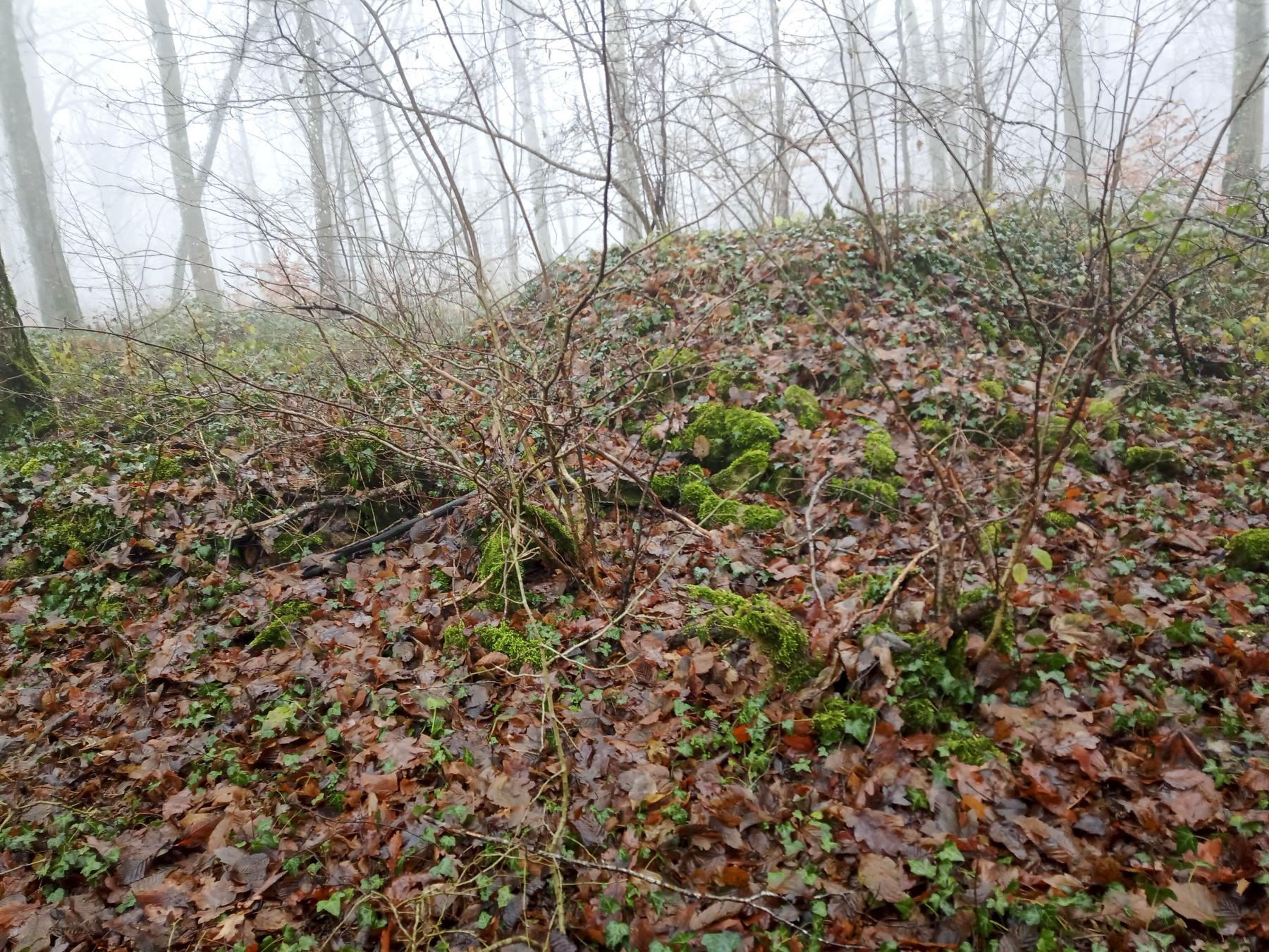 Ligne Maginot - DB229 - (Blockhaus pour arme infanterie) - Seul trace des travaux: les déblais - Marc Fossoul