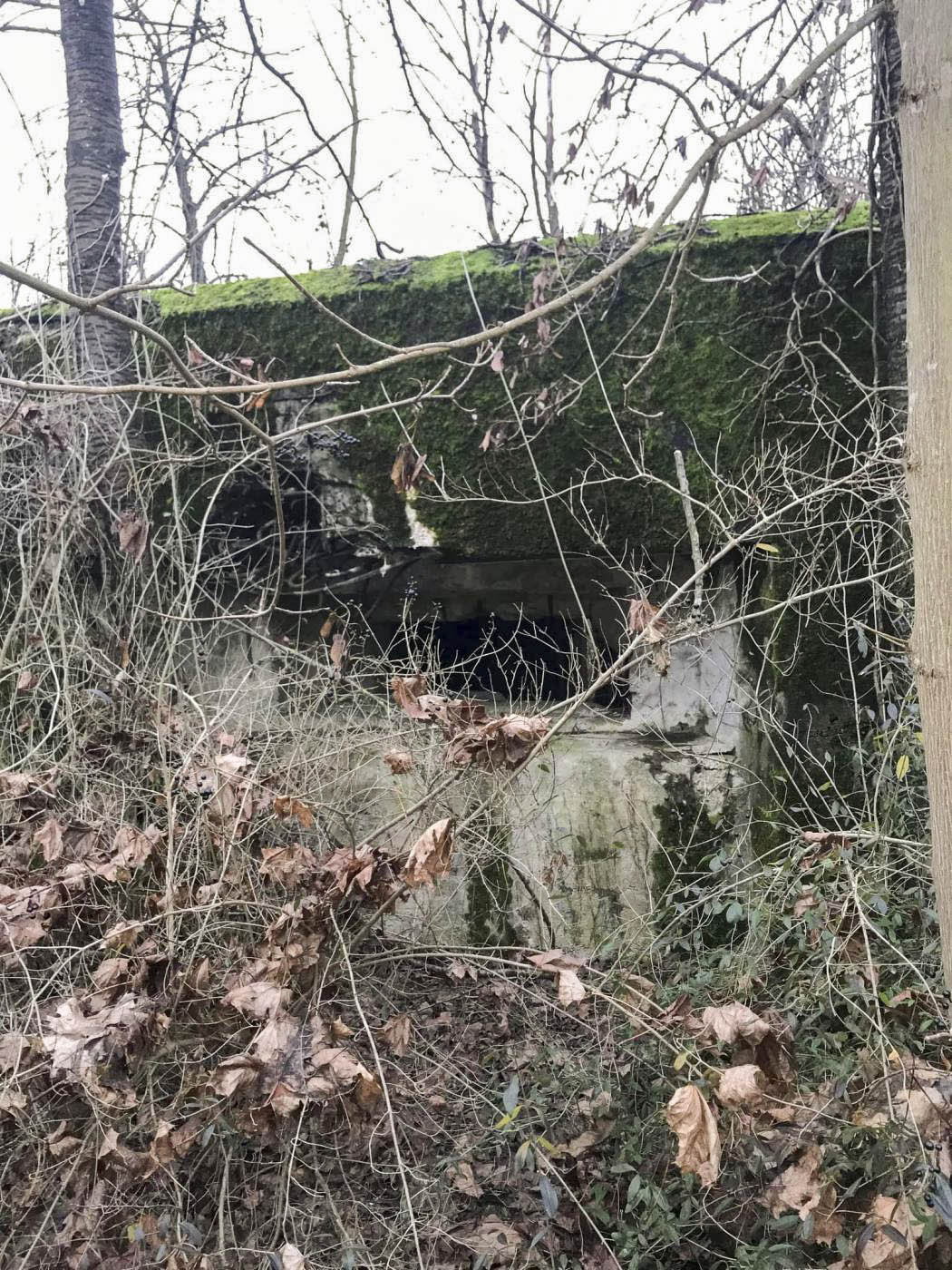 Ligne Maginot - AUENHEIM 2 - (Blockhaus pour canon) -  - Arthur Emmelin