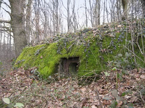 Ligne Maginot - CARREFOUR 121 - (Blockhaus pour arme infanterie) - Le créneau FM central
