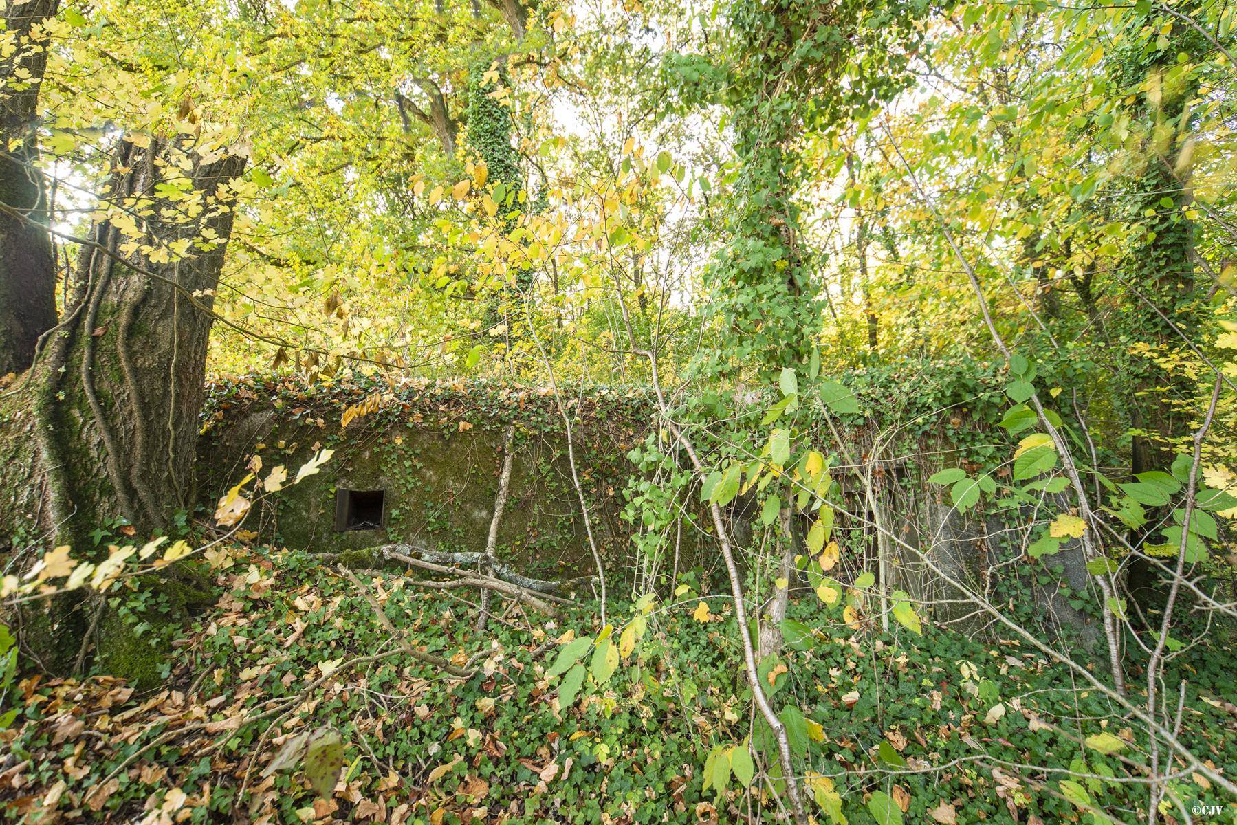 Ligne Maginot - CARREFOUR 121 - (Blockhaus pour arme infanterie) - Petit créneau - Lia VERMEULEN