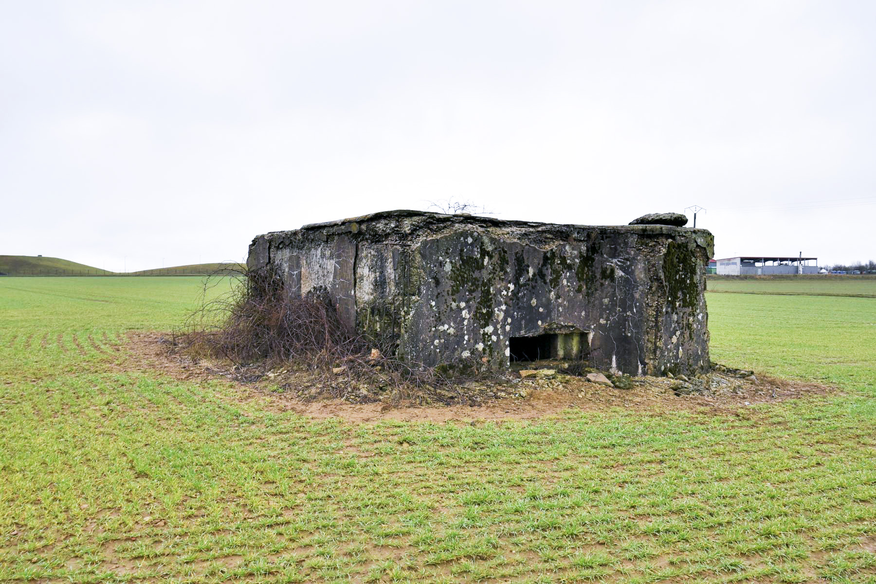 Ligne Maginot - DB123 - CROIX D'AUDUN NORD - (Blockhaus pour canon) -  - Ludovic KNAPP