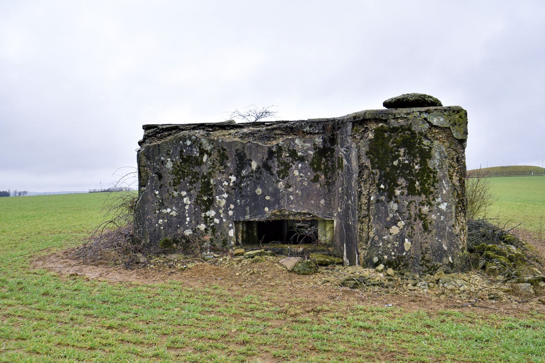 Ligne Maginot - DB123 - CROIX D'AUDUN NORD - (Blockhaus pour canon) -  - Ludovic KNAPP