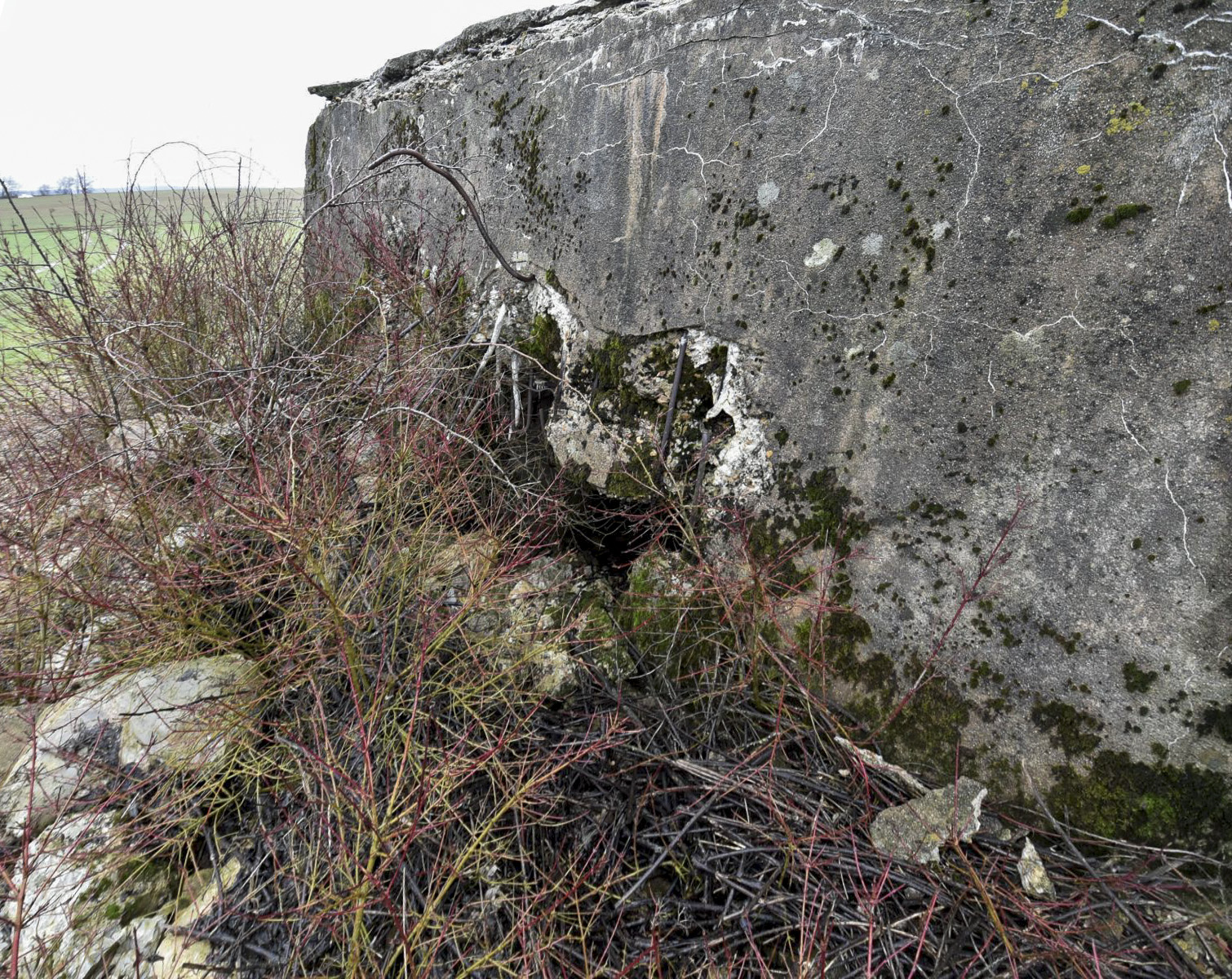 Ligne Maginot - DB123 - CROIX D'AUDUN NORD - (Blockhaus pour canon) - L'entrée comblée - Ludovic KNAPP