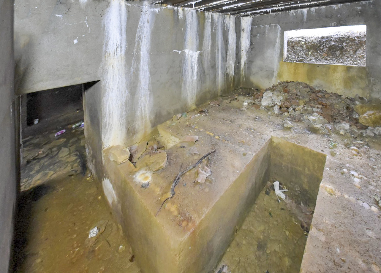 Ligne Maginot - CB299 - JUNGBUSCH - (Blockhaus pour canon) -  - Ludovic KNAPP