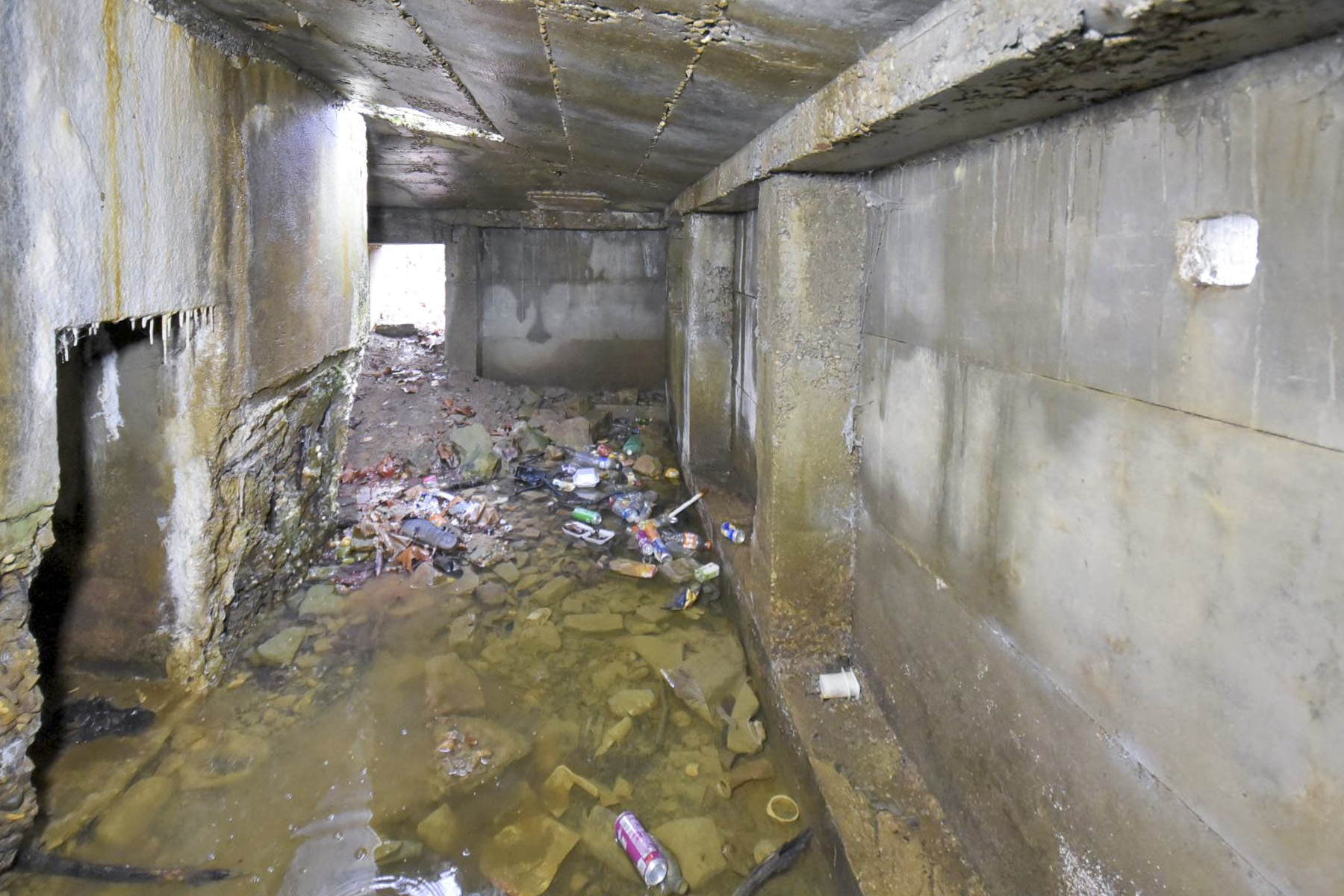 Ligne Maginot - CB299 - JUNGBUSCH - (Blockhaus pour canon) -  - Ludovic KNAPP