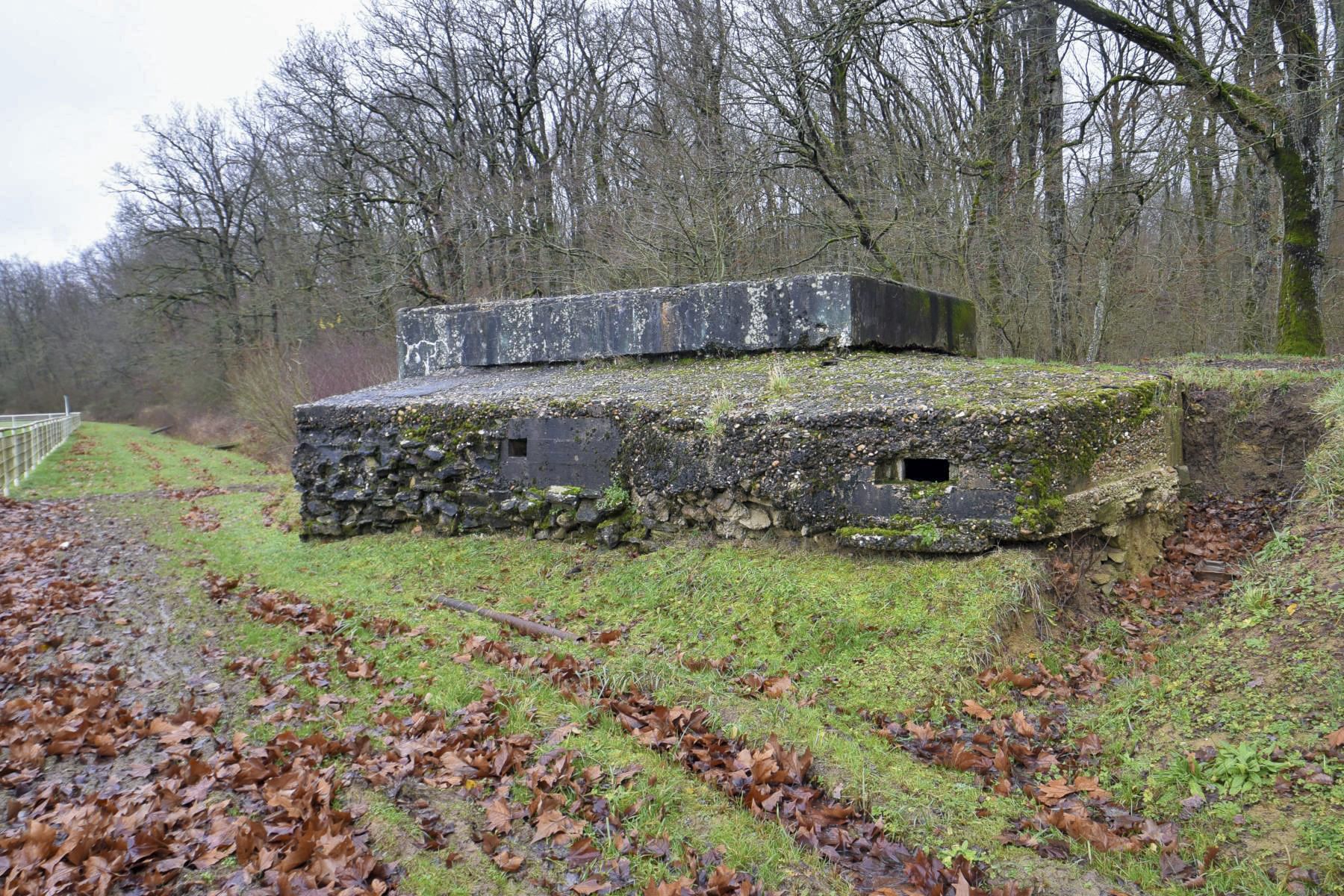 Ligne Maginot - CB299 - JUNGBUSCH - (Blockhaus pour canon) -  - Ludovic KNAPP