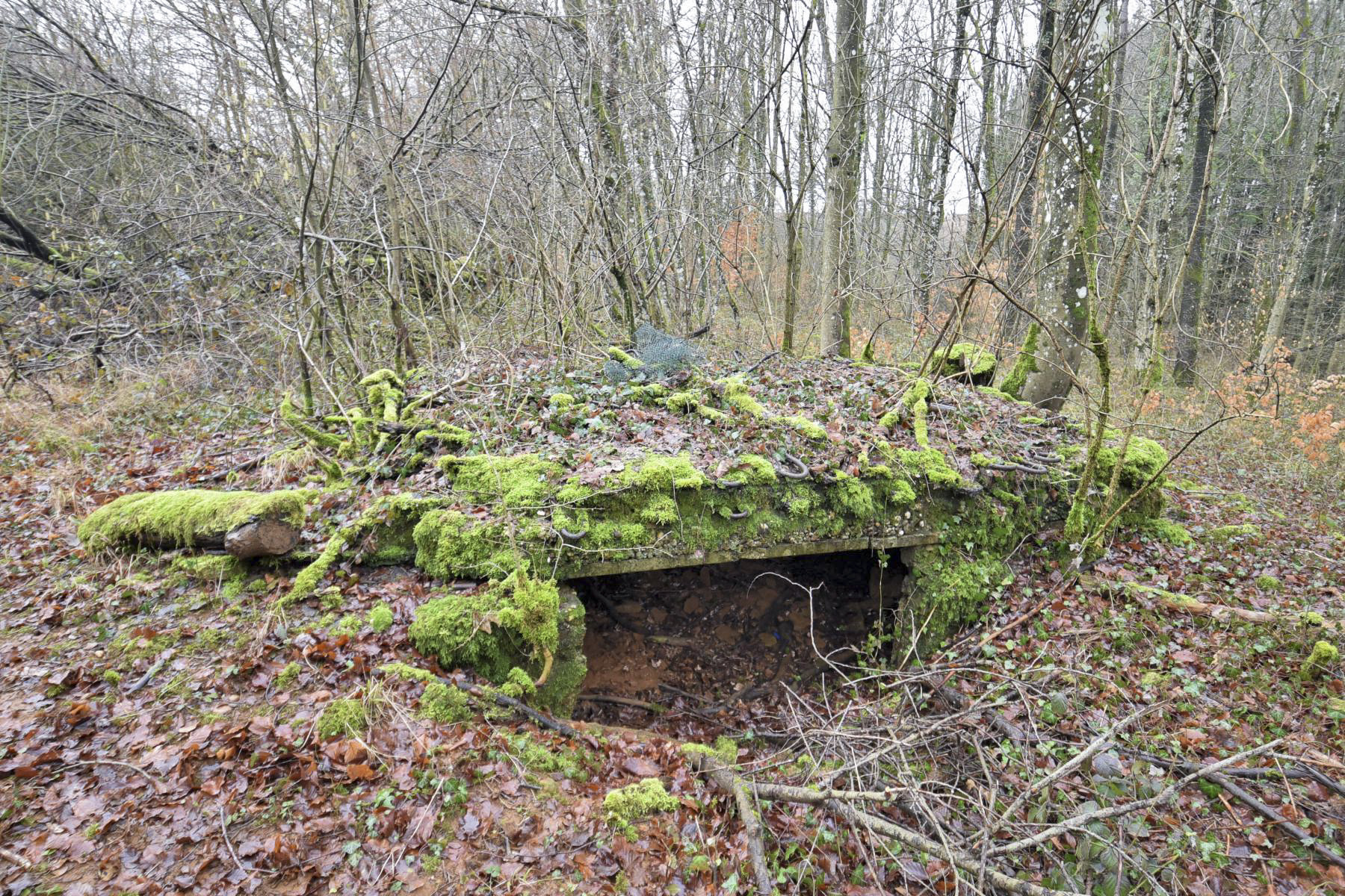 Ligne Maginot - BOIS DE CRUSNES 4 - (Blockhaus pour canon) -  - Ludovic KNAPP