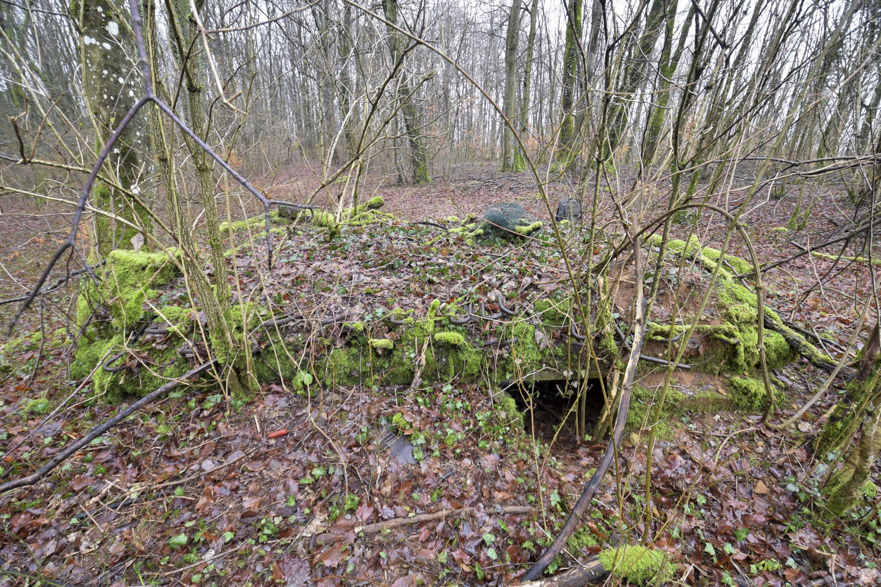 Ligne Maginot - BOIS DE CRUSNES 4 - (Blockhaus pour canon) -  - Ludovic KNAPP
