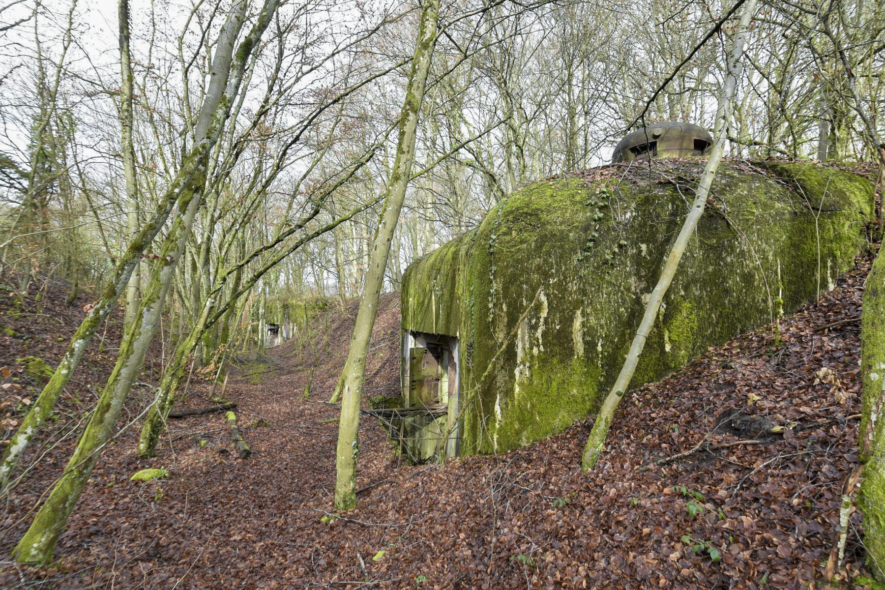 Ligne Maginot - BOIS DE FERANGE - X27 - (Abri) - Les deux entrées - Ludovic KNAPP