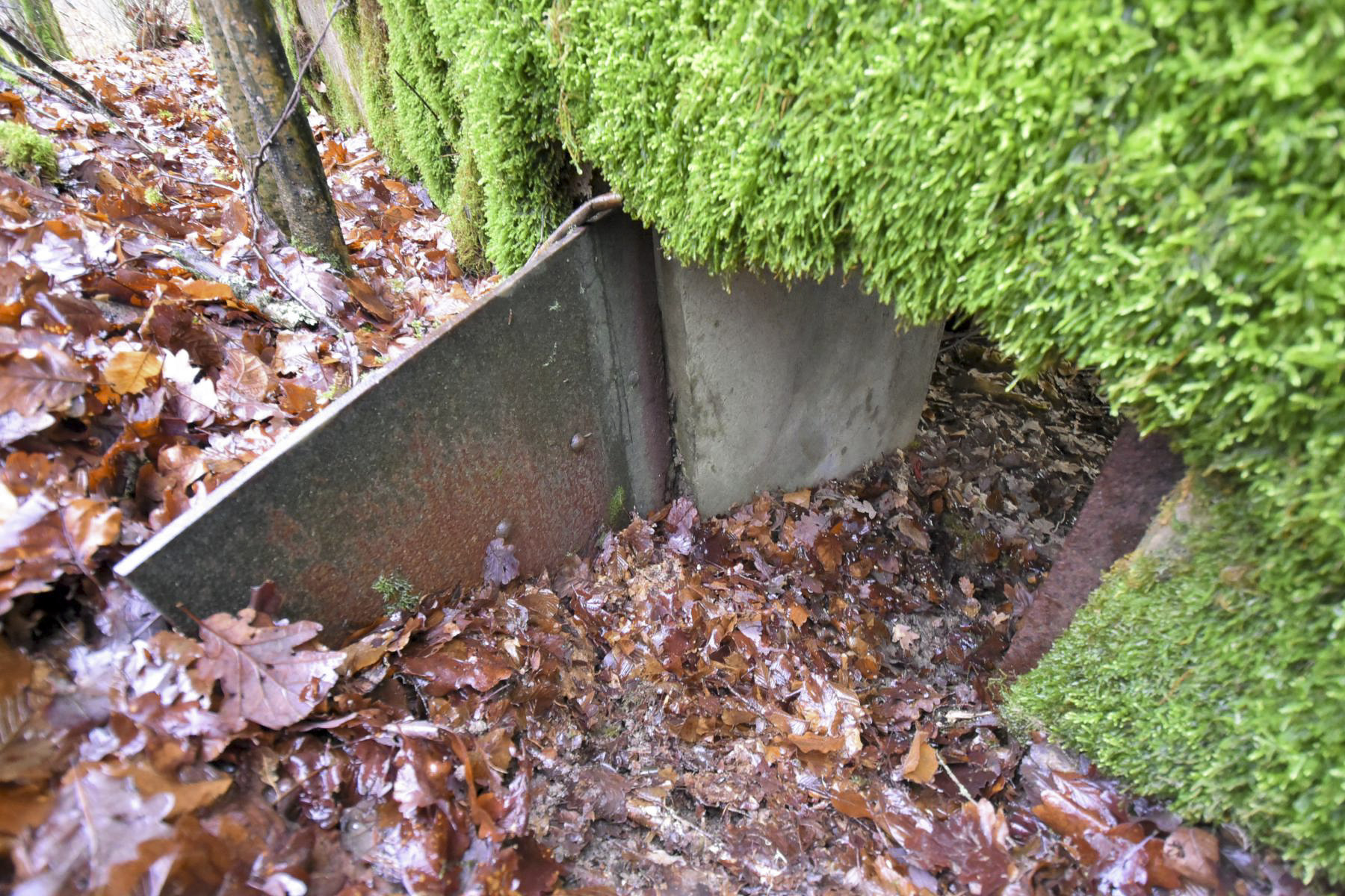 Ligne Maginot - CB85-C - BARRUNGSHOFF - (Blockhaus pour arme infanterie) -  - Ludovic KNAPP