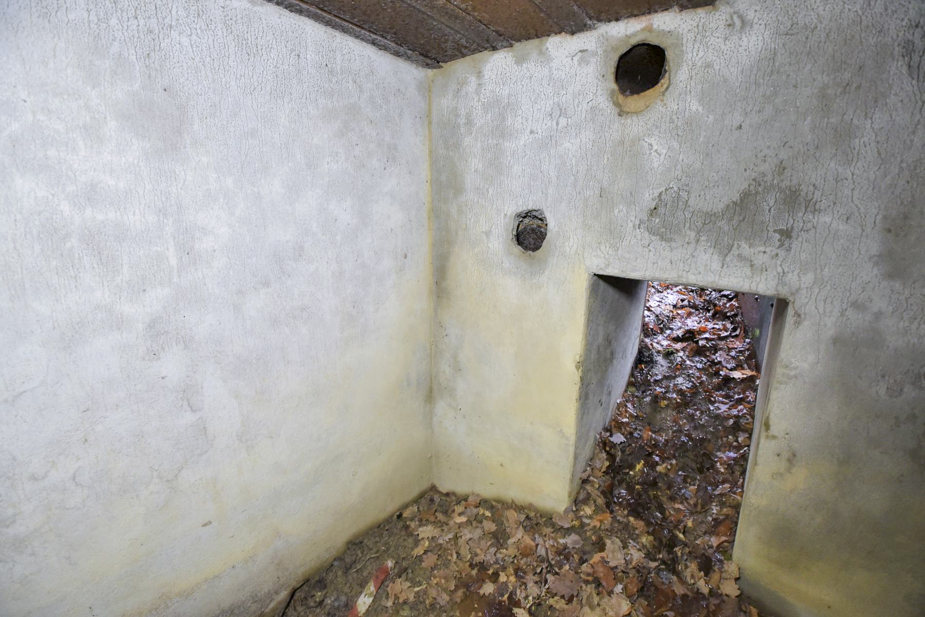 Ligne Maginot - CB85-C - BARRUNGSHOFF - (Blockhaus pour arme infanterie) -  - Ludovic KNAPP