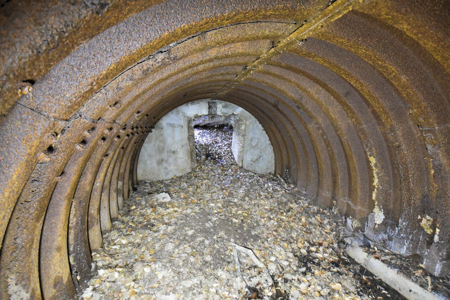 Ligne Maginot - KOBENBERG - (Abri) -  - Ludovic KNAPP