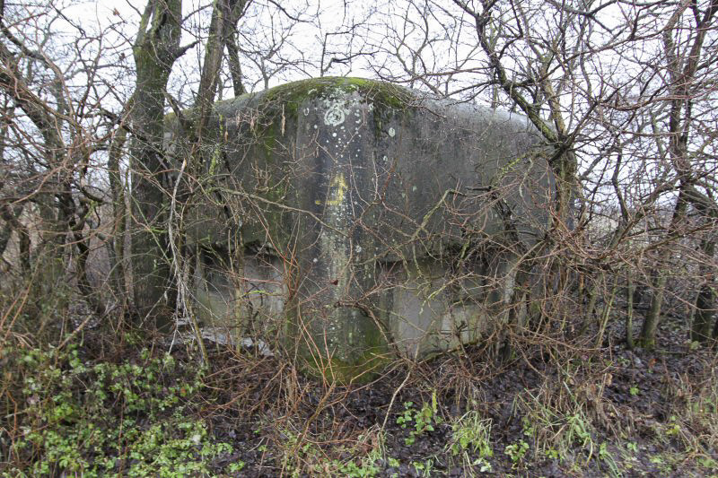 Ligne Maginot - GRIES (Blockhaus pour arme infanterie) -  - Les Gardiens du Rhin