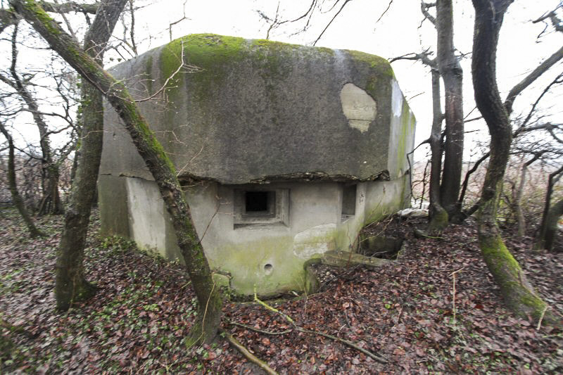 Ligne Maginot - GRIES (Blockhaus pour arme infanterie) -  - Les Gardiens du Rhin