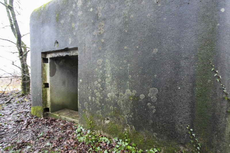 Ligne Maginot - GRIES (Blockhaus pour arme infanterie) -  - Les Gardiens du Rhin