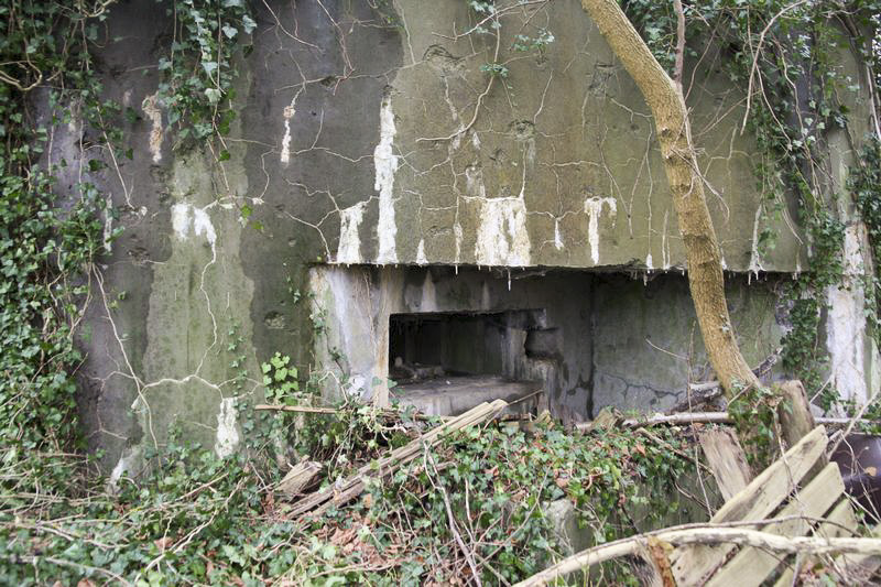 Ligne Maginot - KOEPFEL - (Blockhaus pour arme infanterie) -  - GRUBER Franck